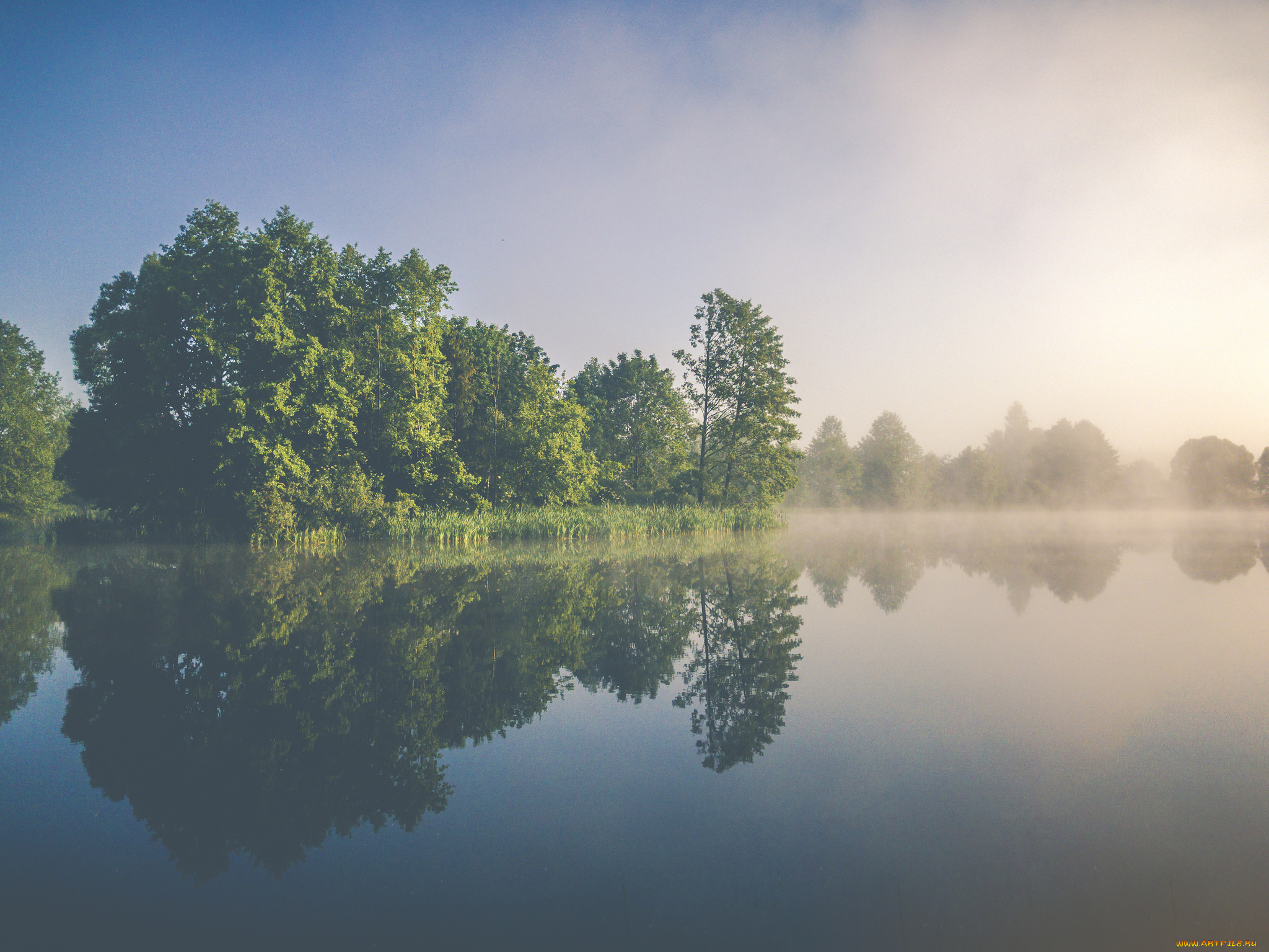 природа, реки, озера, река