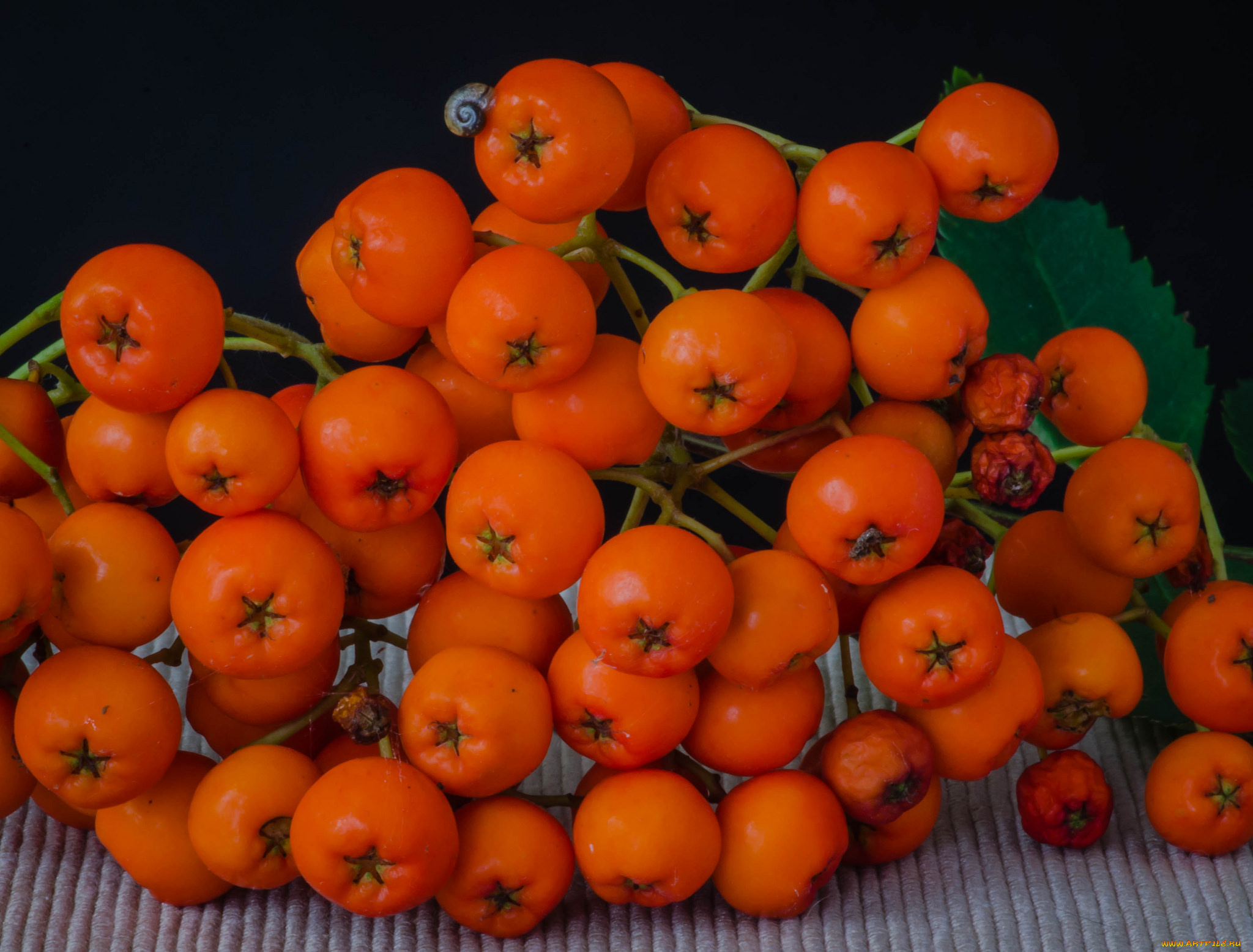 еда, фрукты, , ягоды, ягоды