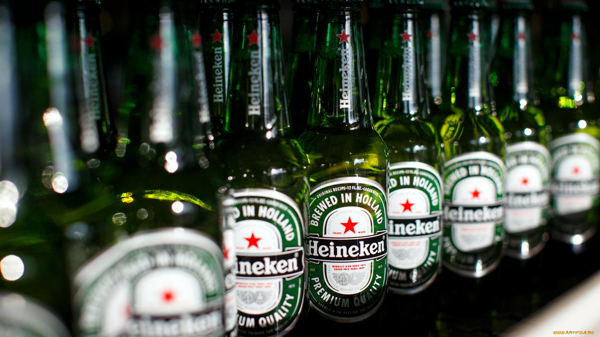 бренды, heineken, пиво