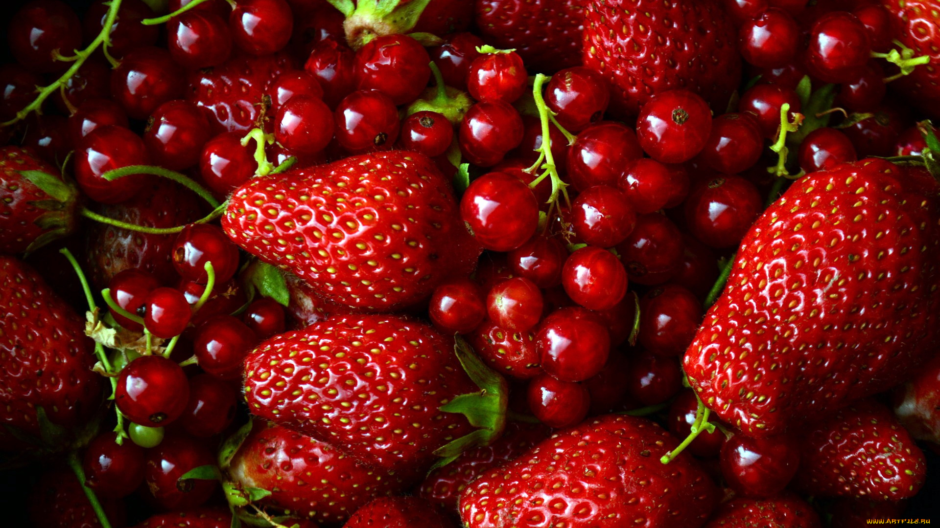 еда, фрукты, , ягоды, клубника, смородина