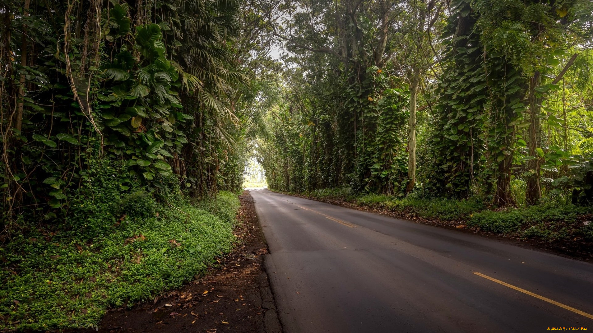 природа, дороги, шоссе