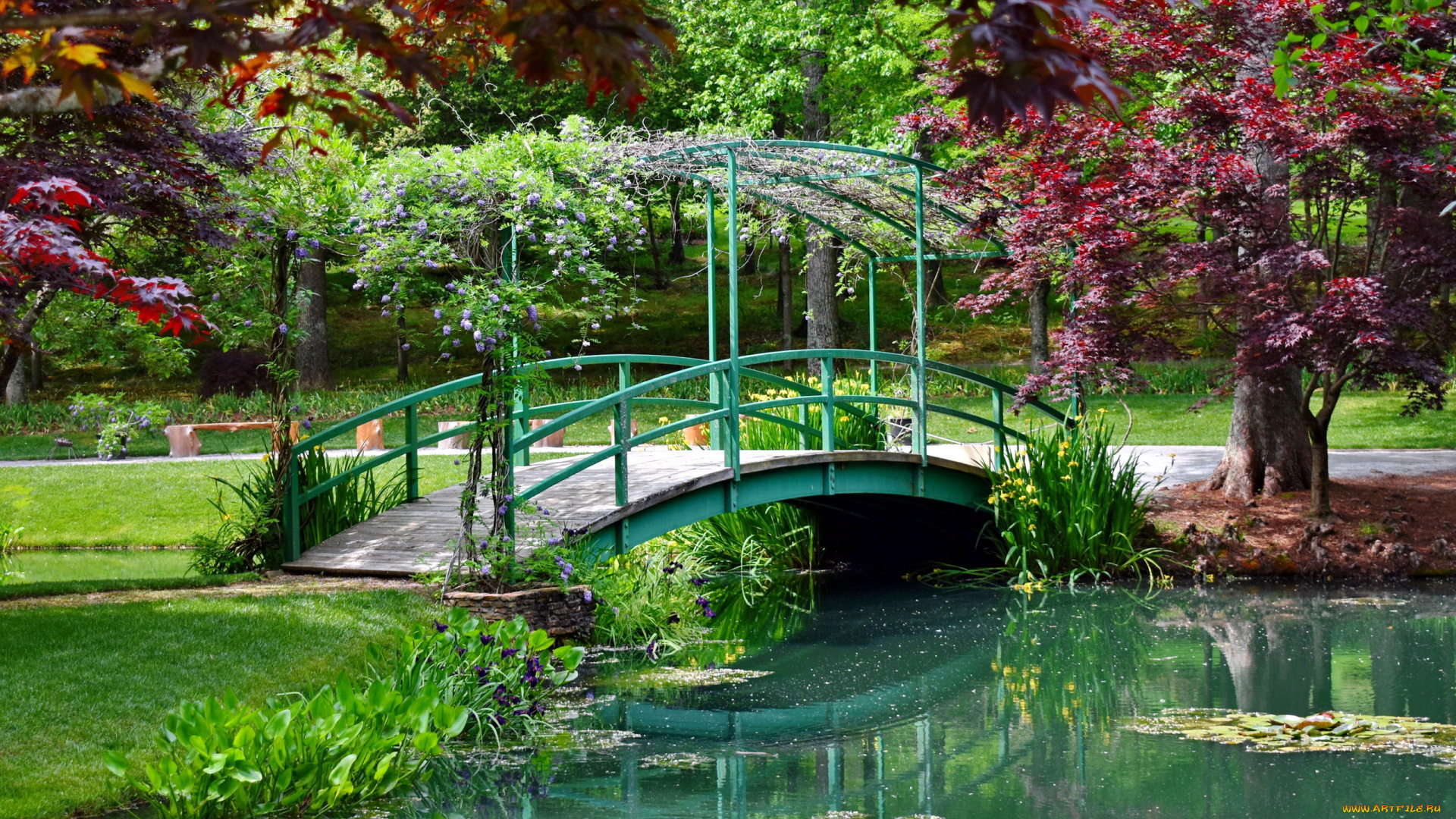 природа, парк, мостик, водоем