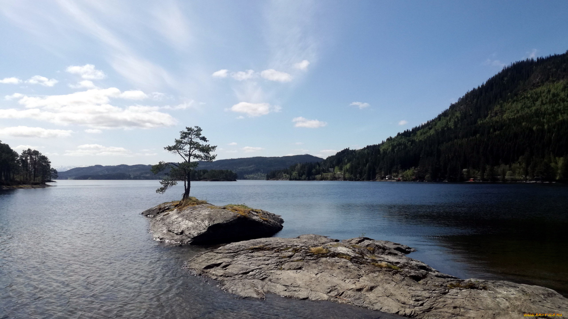 природа, реки, озера, река