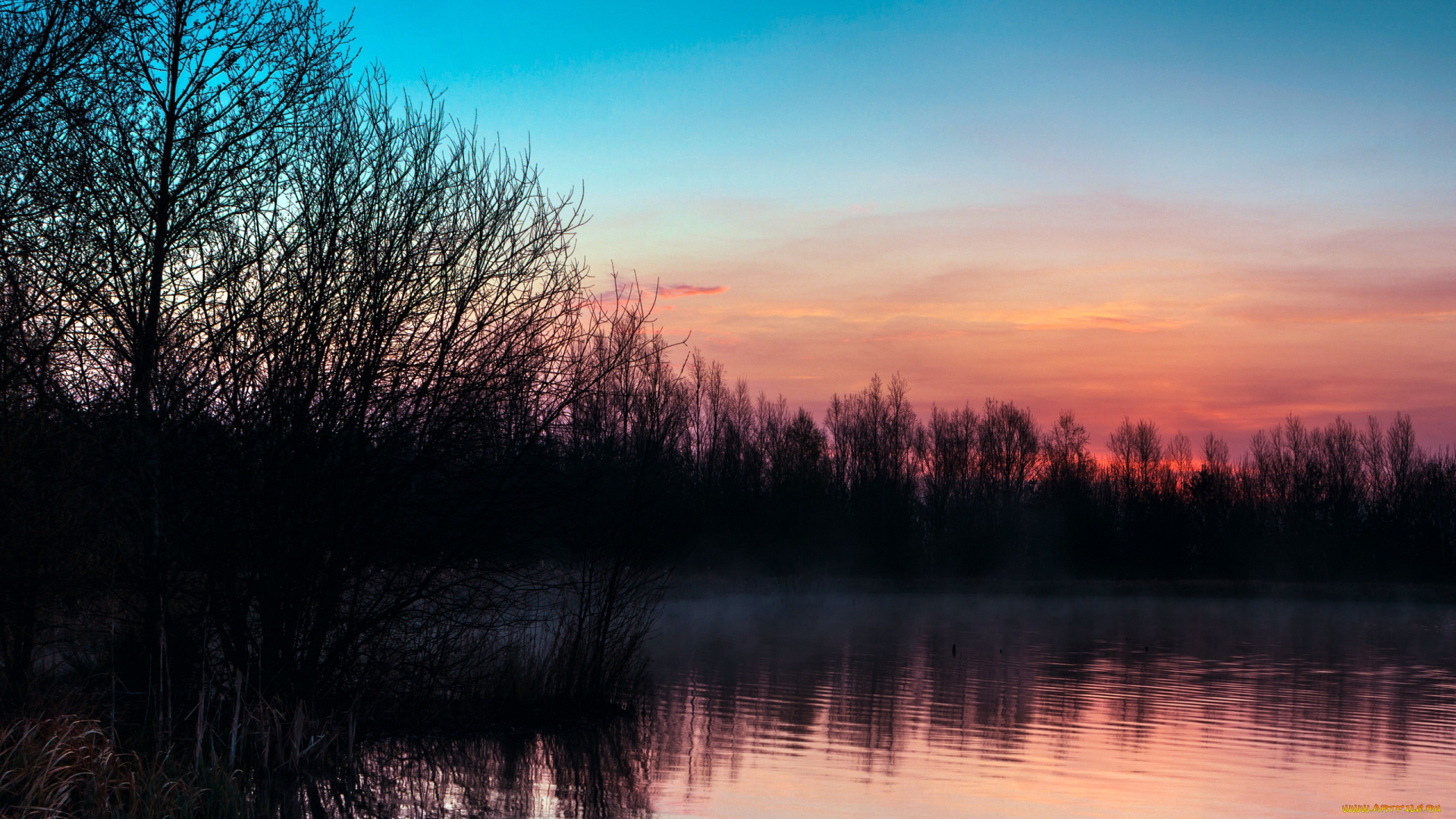 природа, восходы, закаты, закат, река