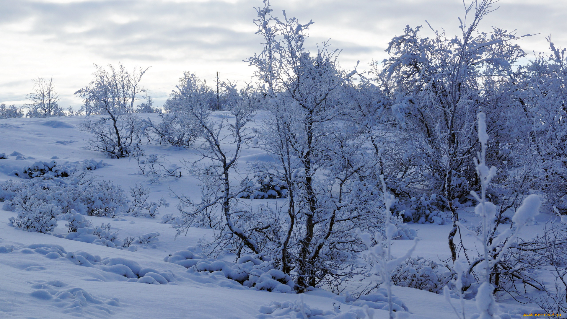 природа, зима, снег