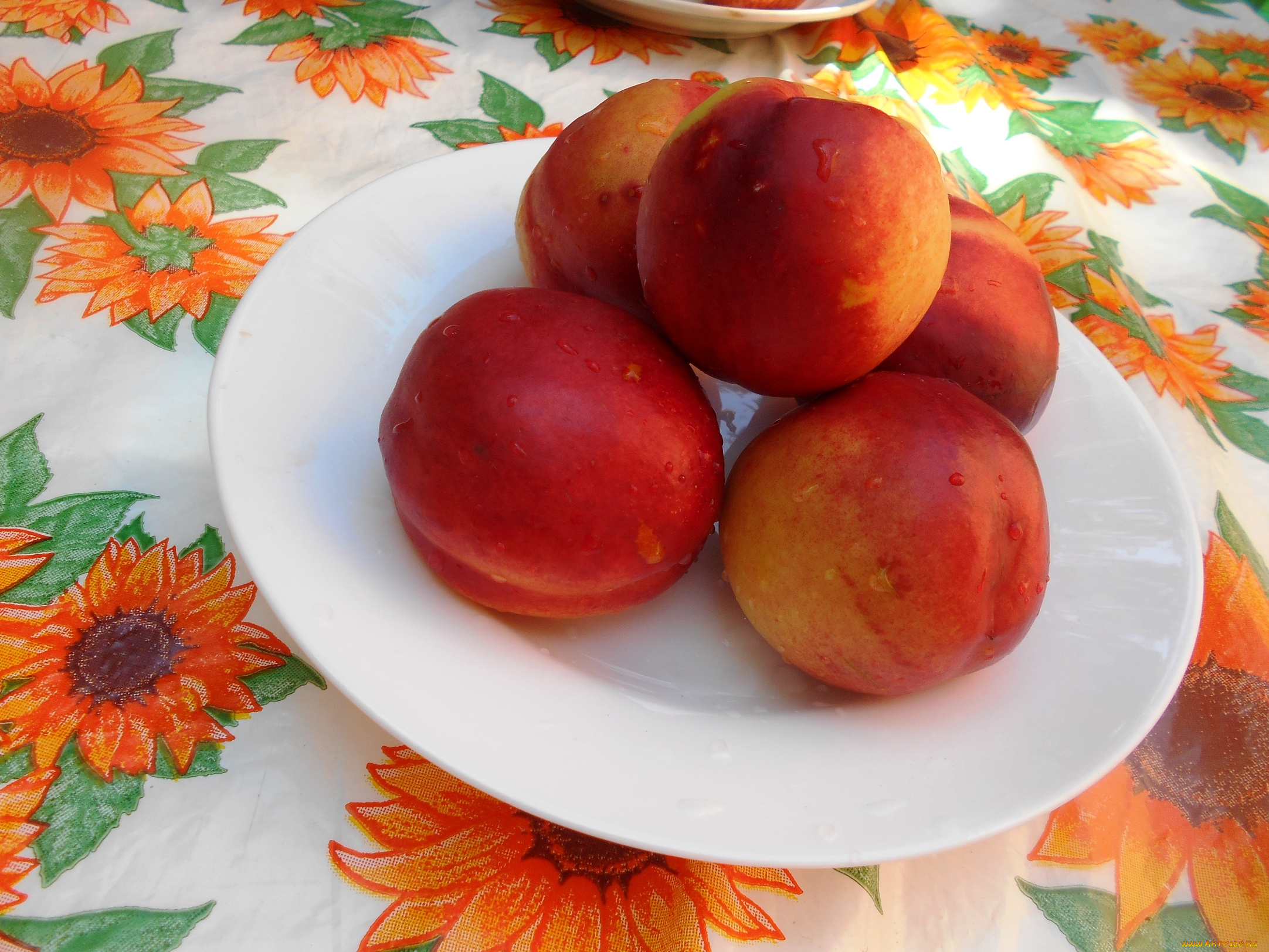 еда, фрукты, , ягоды, яблоки