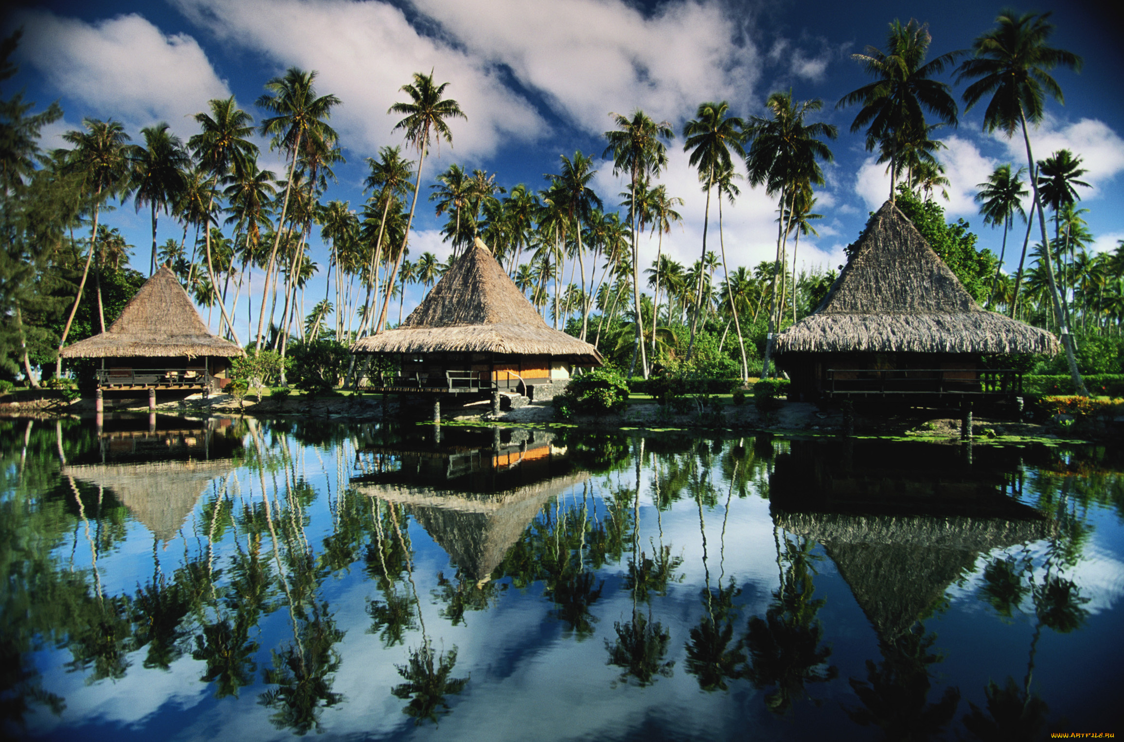 природа, тропики, озеро, пальмы, дома, небо, облака