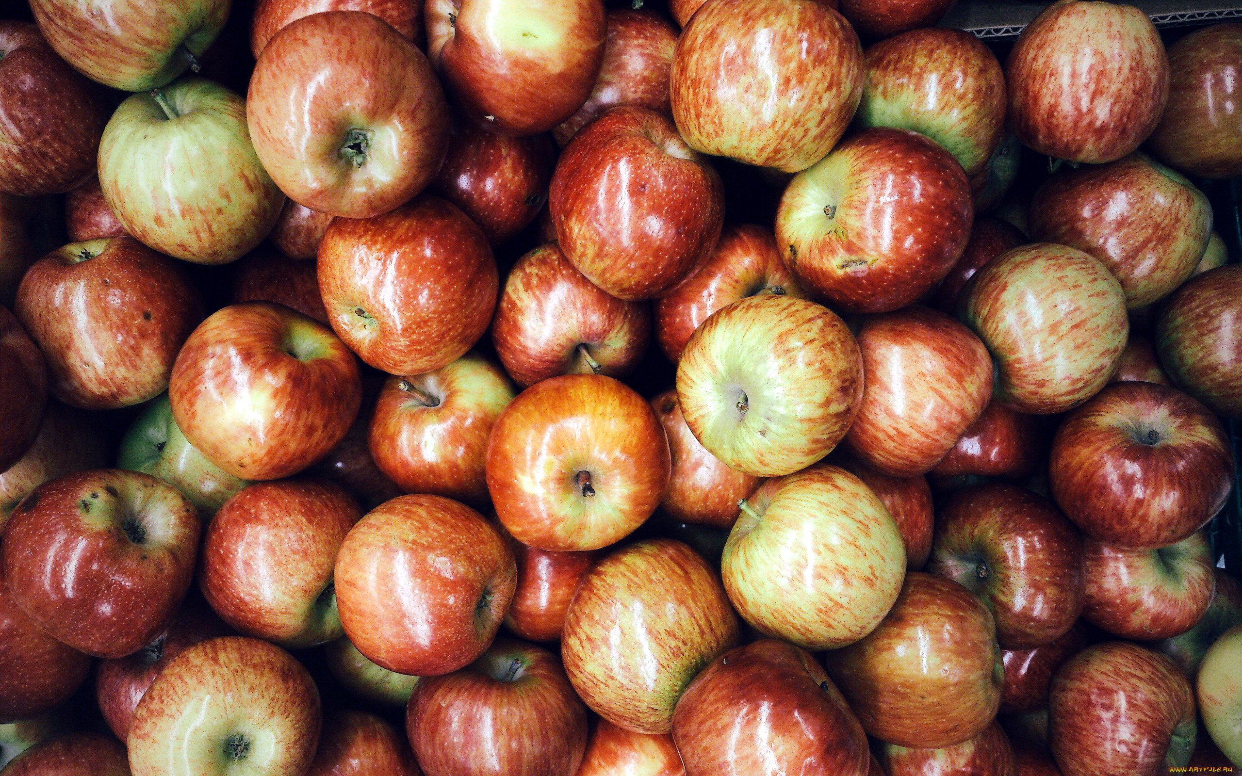 еда, Яблоки, урожай