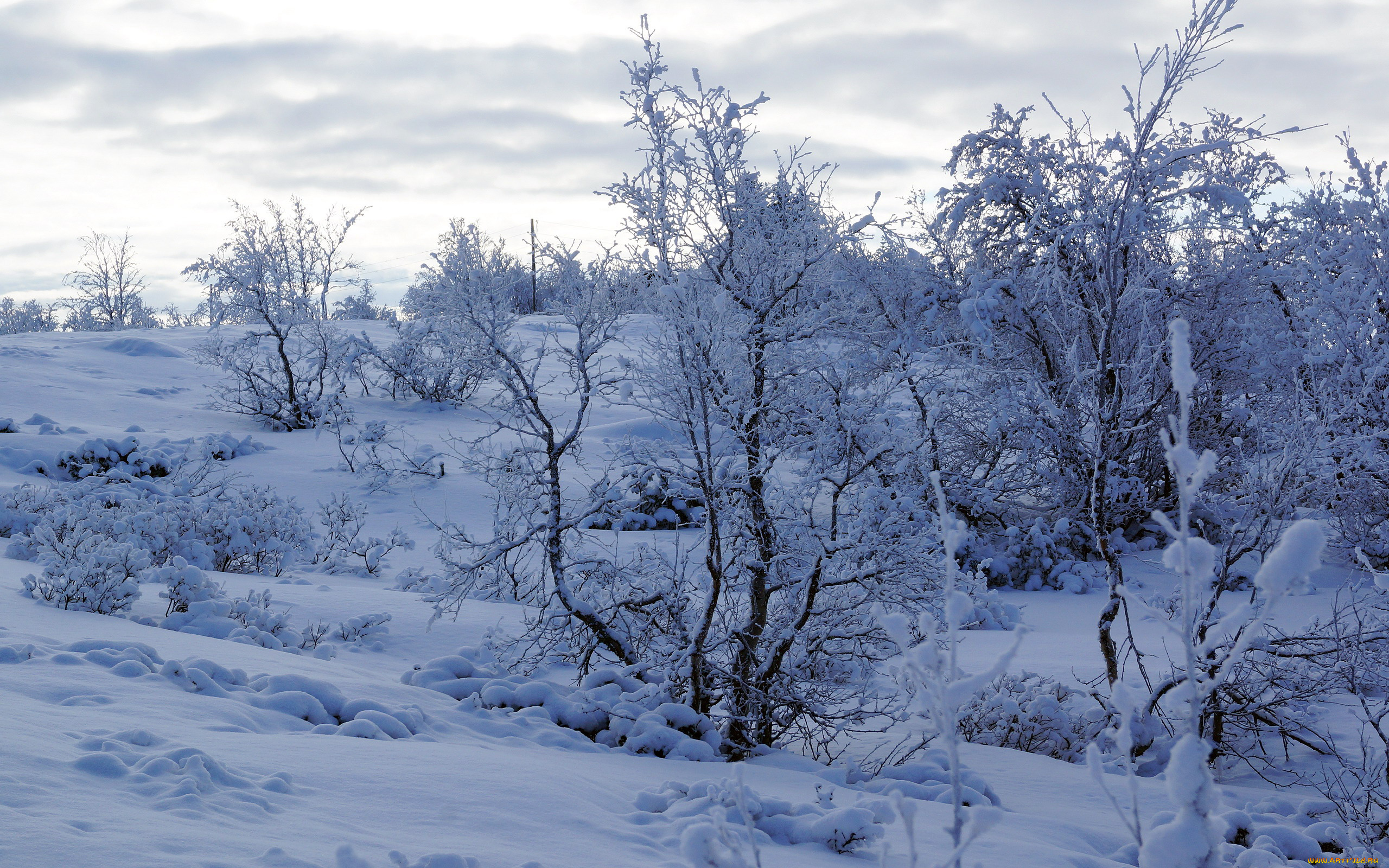 природа, зима, снег