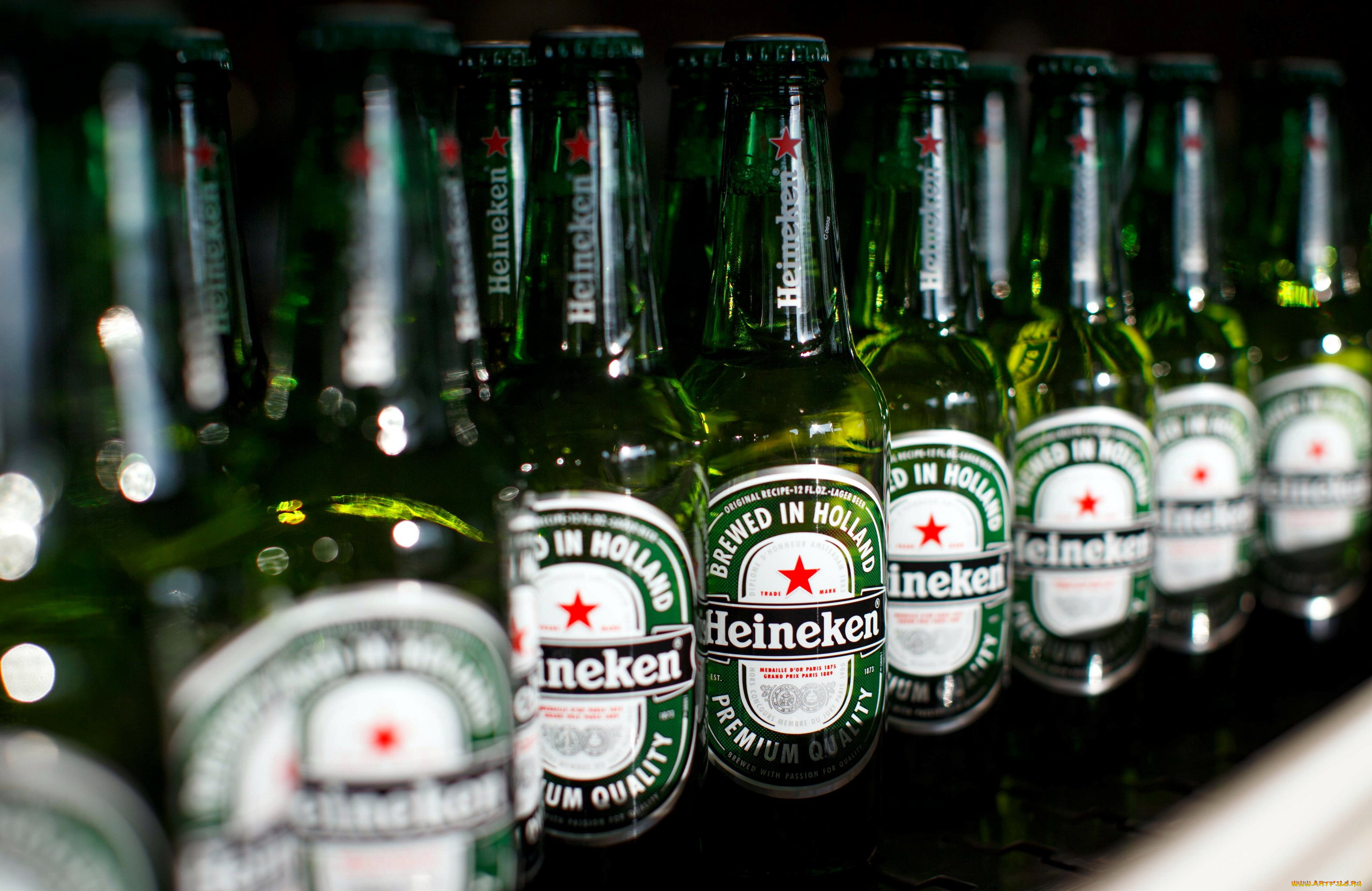 бренды, heineken, пиво