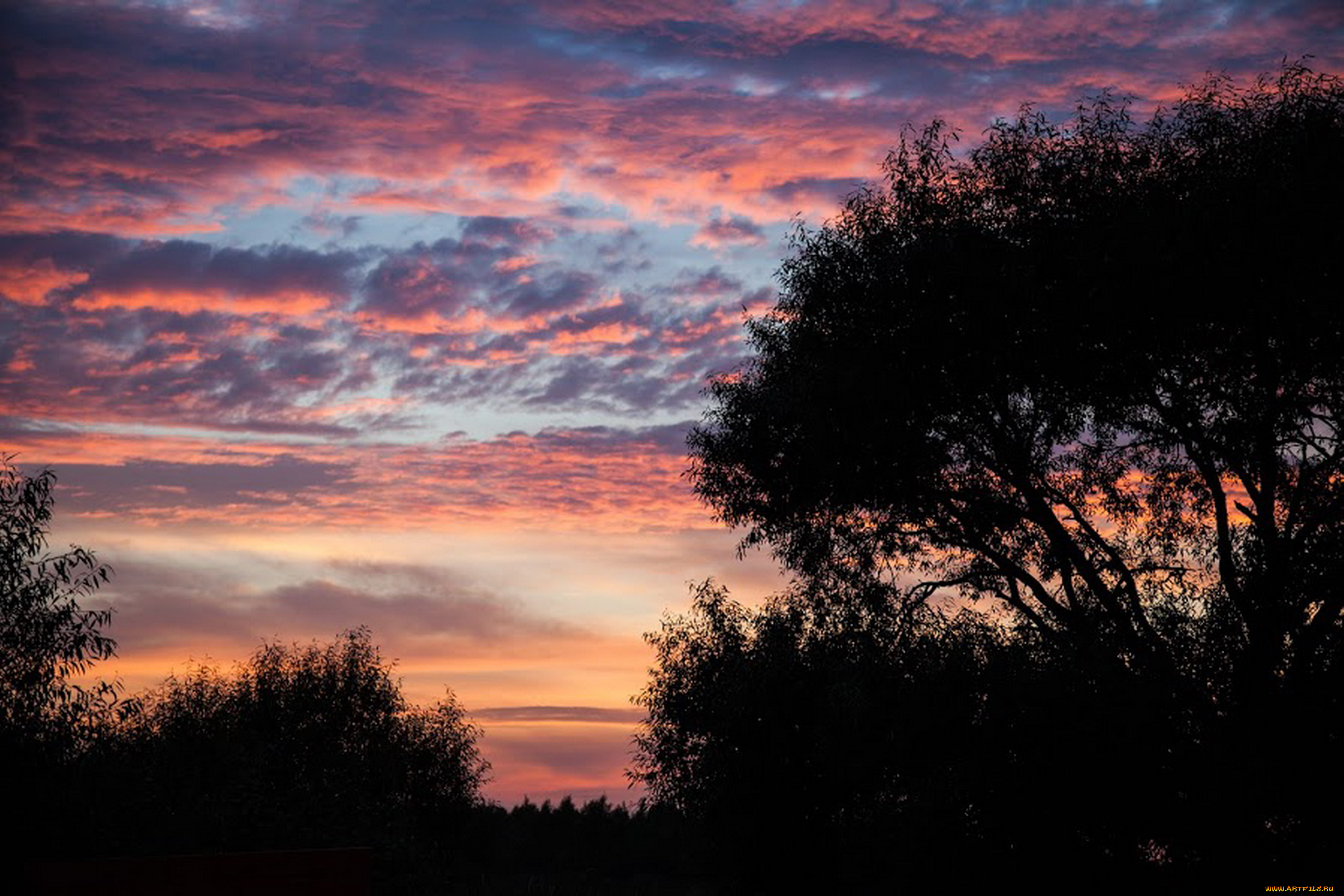 природа, восходы, закаты, закат, река