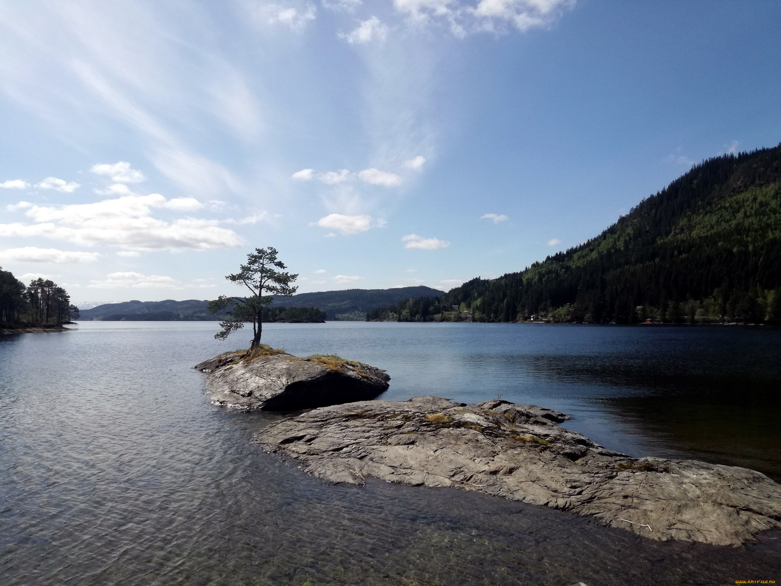 природа, реки, озера, река