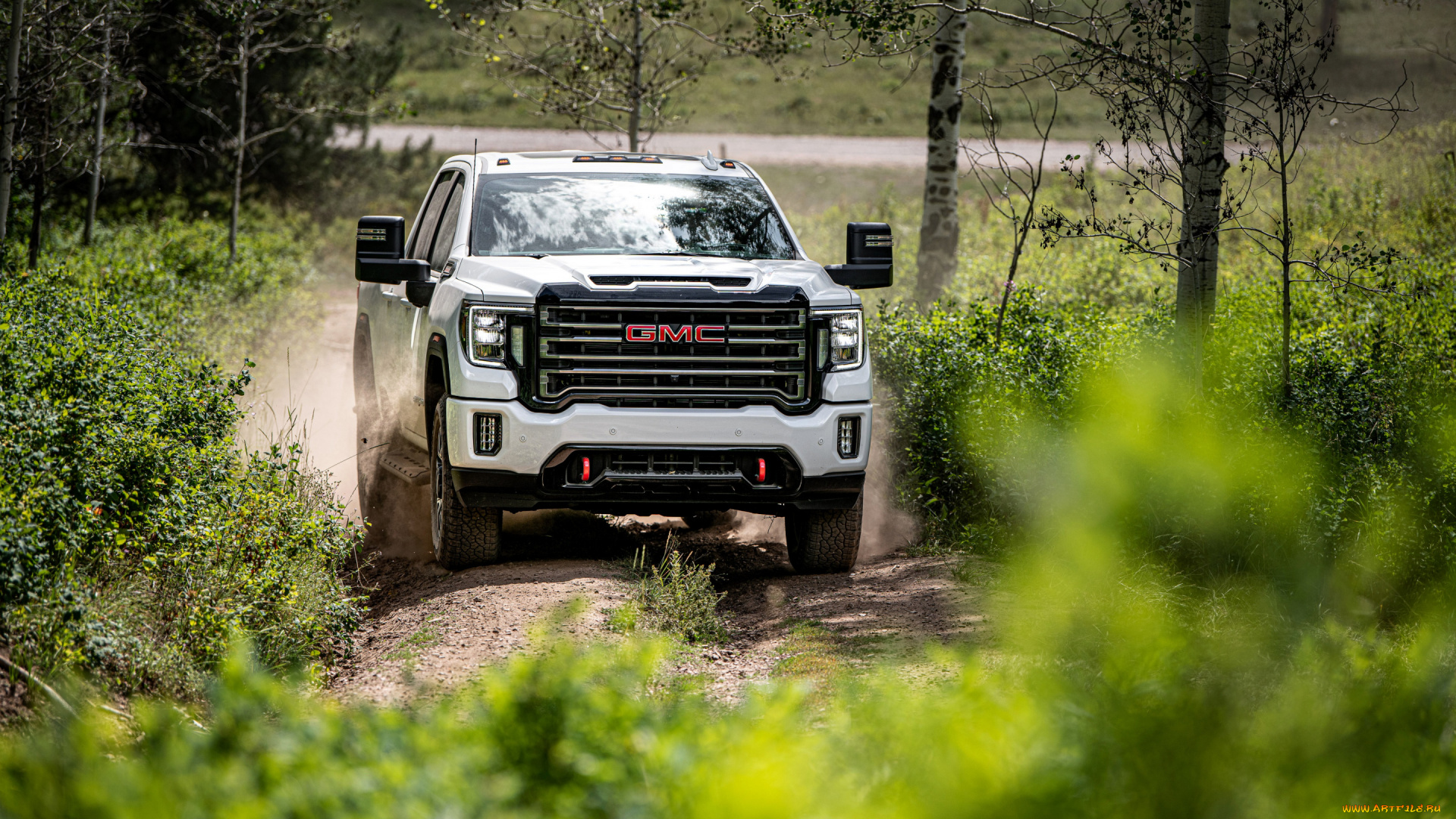 2020, gmc, sierra, 1500, at4, автомобили, gm-gmc, 2020, gmc, sierra, 1500, at4, вид, спереди, экстерьер, белый, пикап, американские