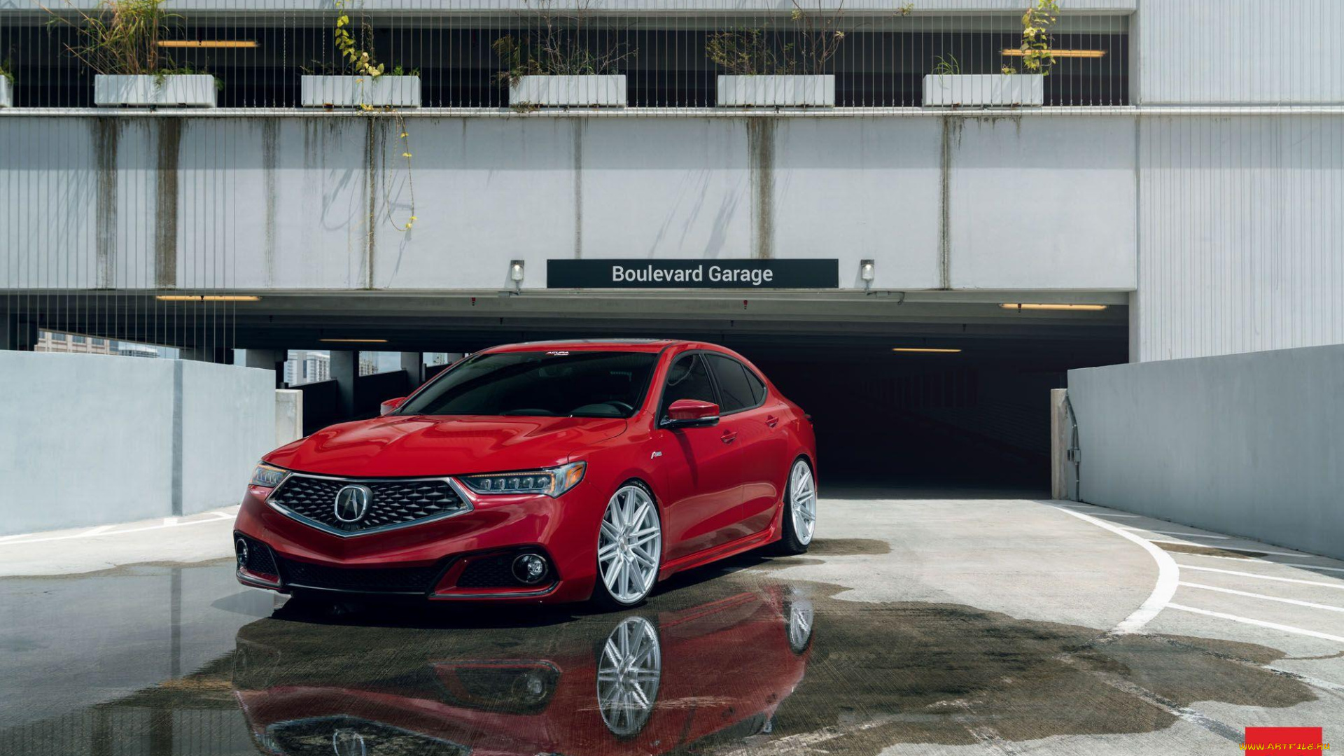 acura, tlx, a-spec, on, vossen, wheels, , cv10, , 2019, автомобили, acura, tlx, a-spec, тюнинг, vossen, wheels, 2019, акура, седан