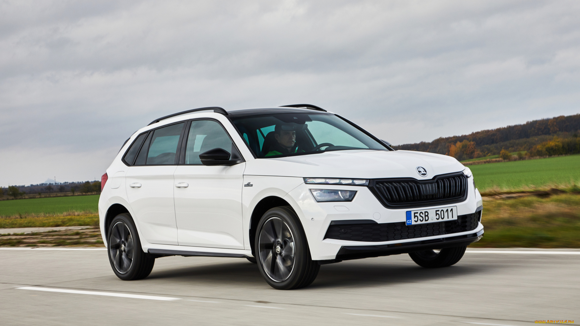 автомобили, skoda