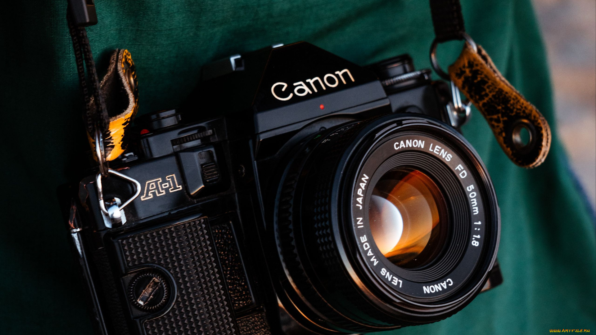 бренды, canon, фотокамера