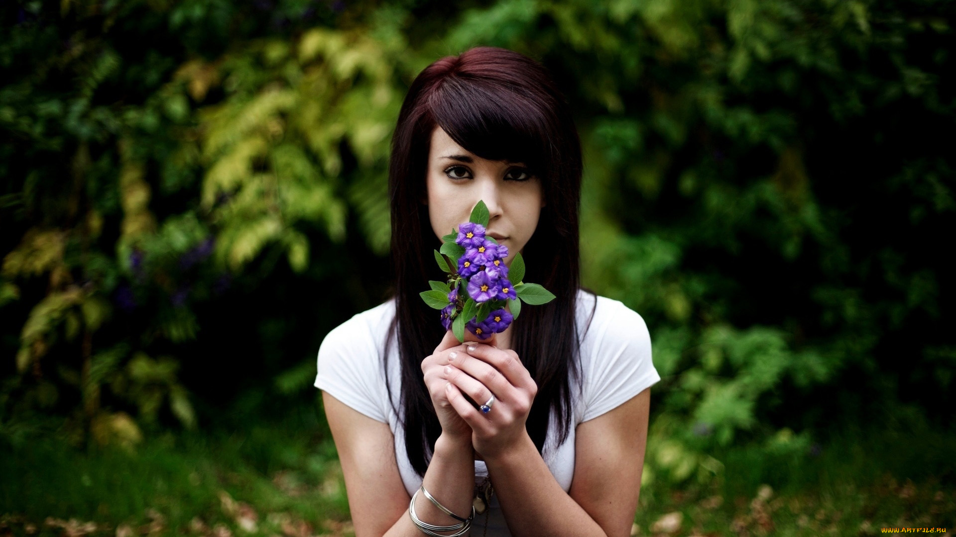 девушки, -, брюнетки, , шатенки, кольцо, браслеты, букет, фиалки, breana, rich