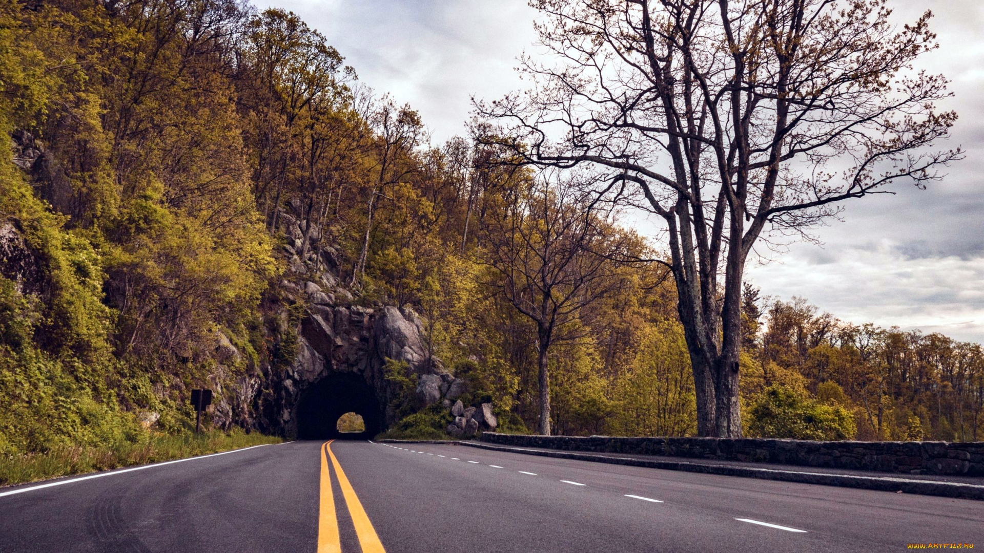 природа, дороги, шоссе