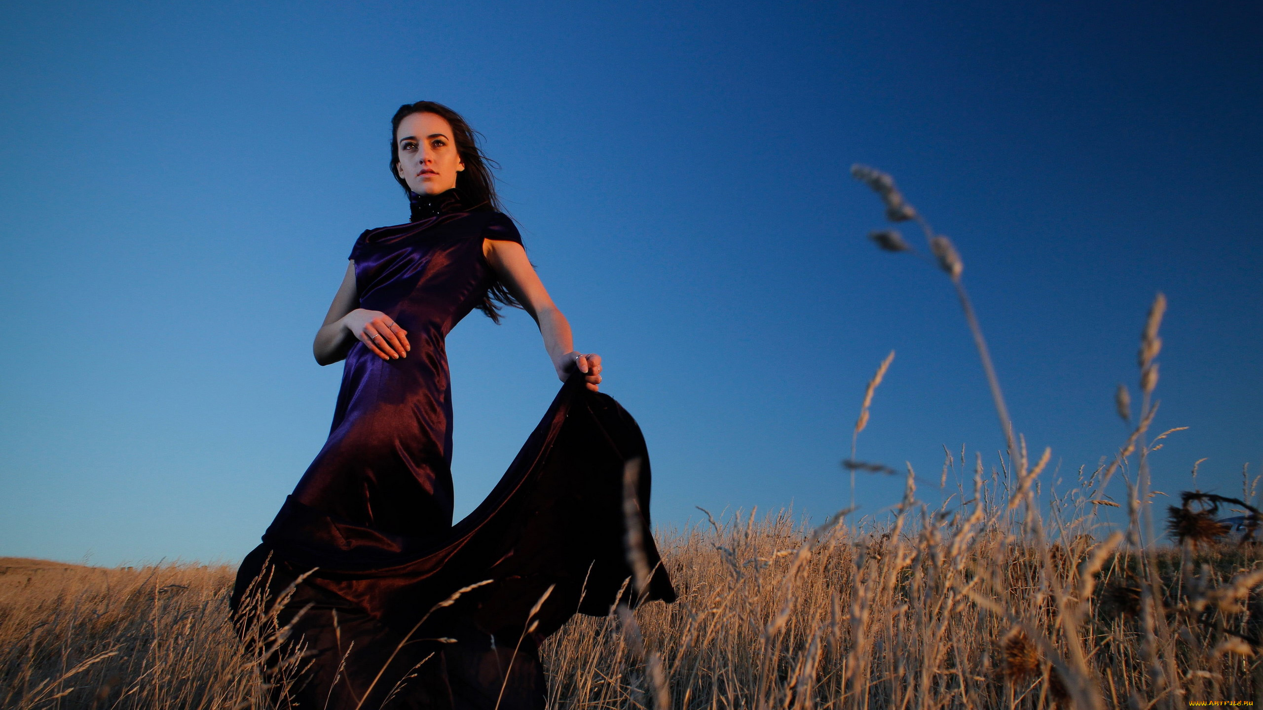 девушки, -, брюнетки, , шатенки, брюнетка, поза, поле, платье