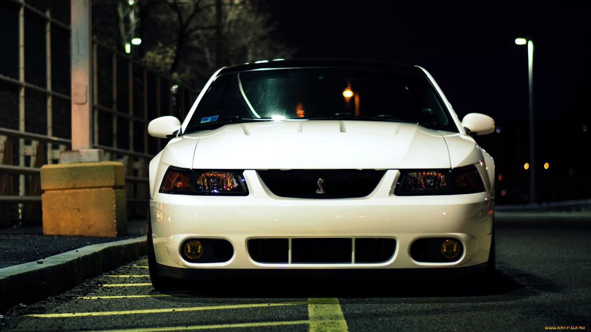 ford, mustang, автомобили, mustang, белый, улица, дорога, тротуар