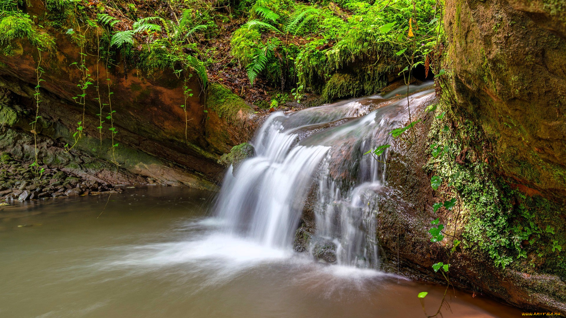 природа, водопады, водопад, скала, озеро, папоротник
