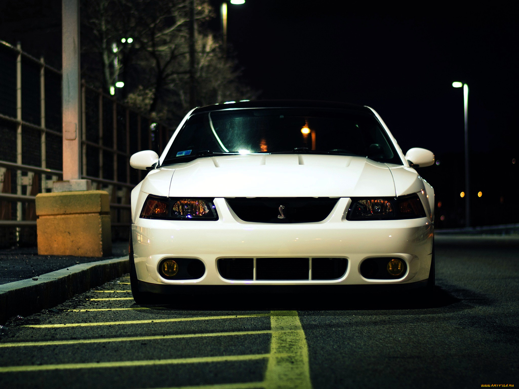 ford, mustang, автомобили, mustang, белый, улица, дорога, тротуар