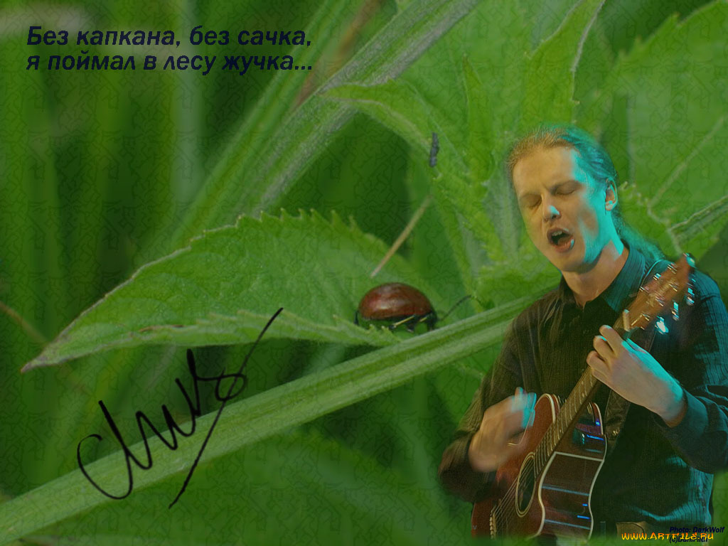 жучок, музыка, мельница