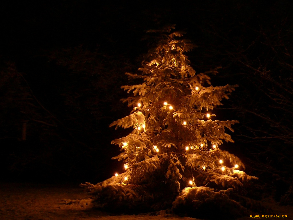 праздничные, Ёлки