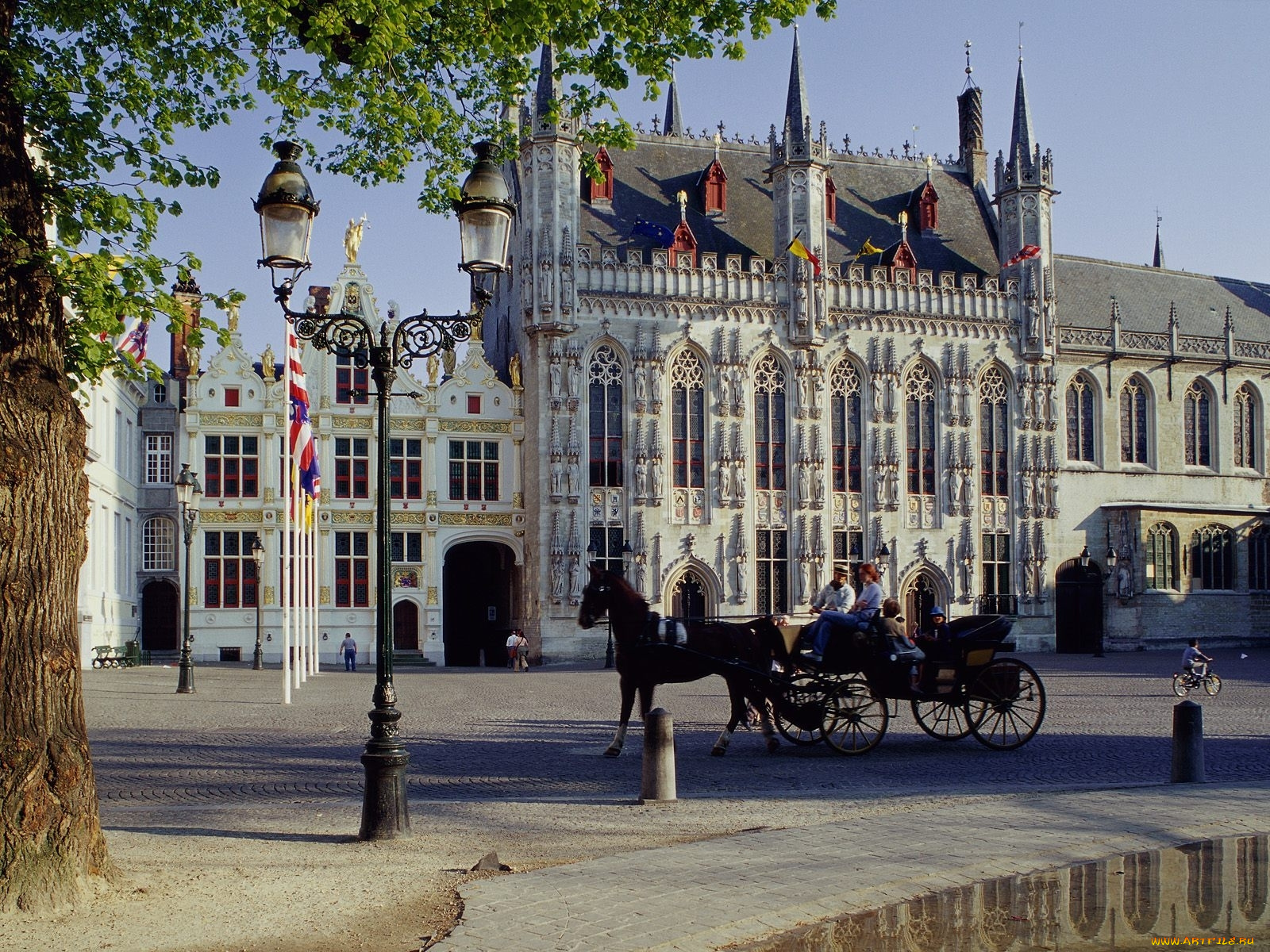 horse, drawn, carriage, town, hall, brugge, belgium, города, брюгге, бельгия