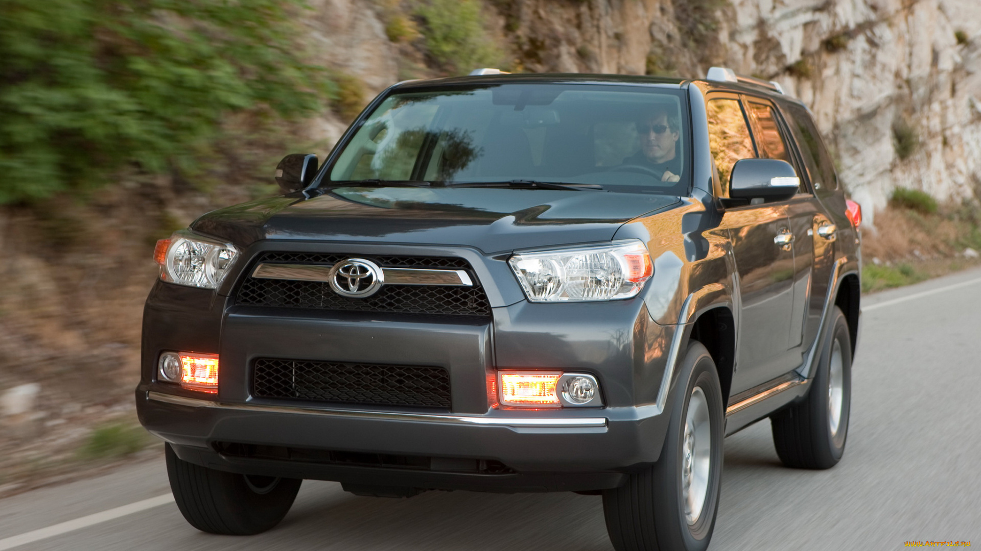 автомобили, toyota