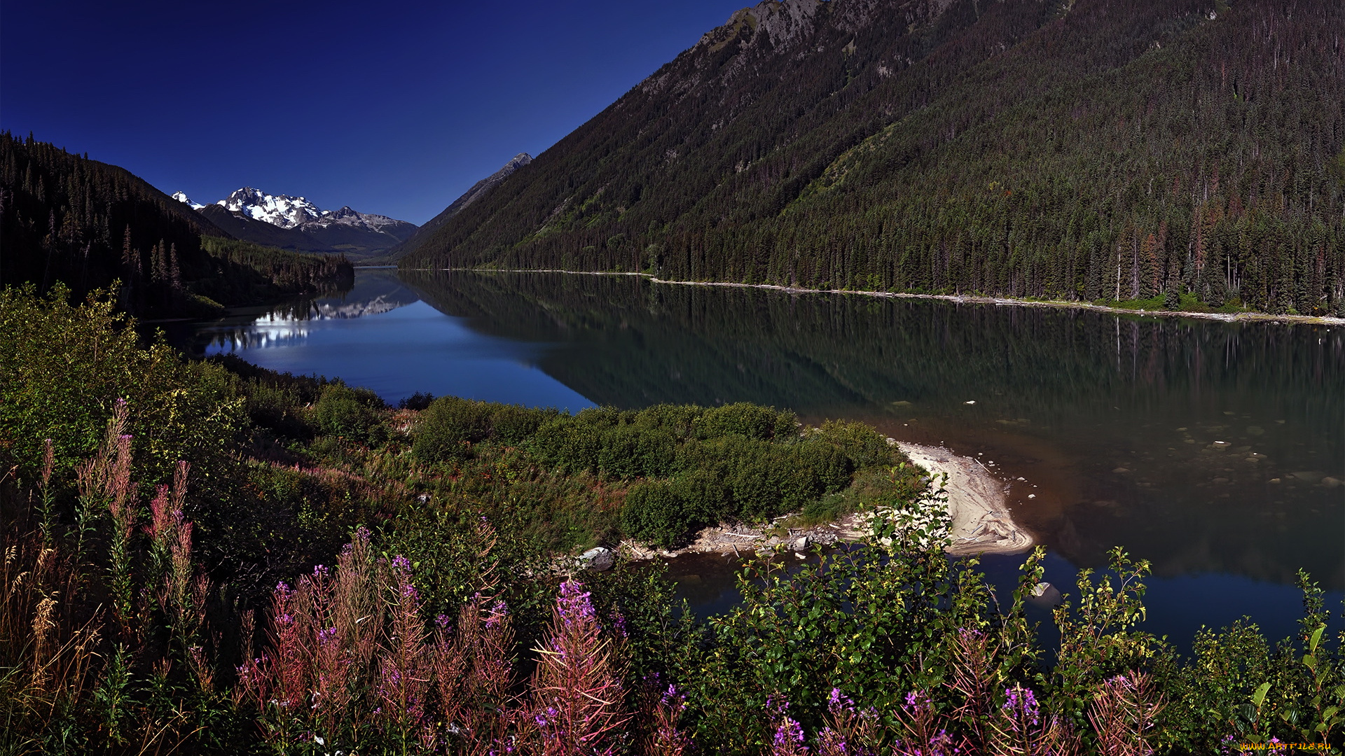 природа, реки, озера