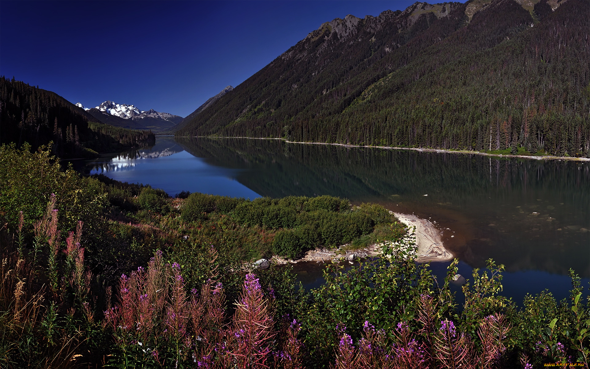 природа, реки, озера