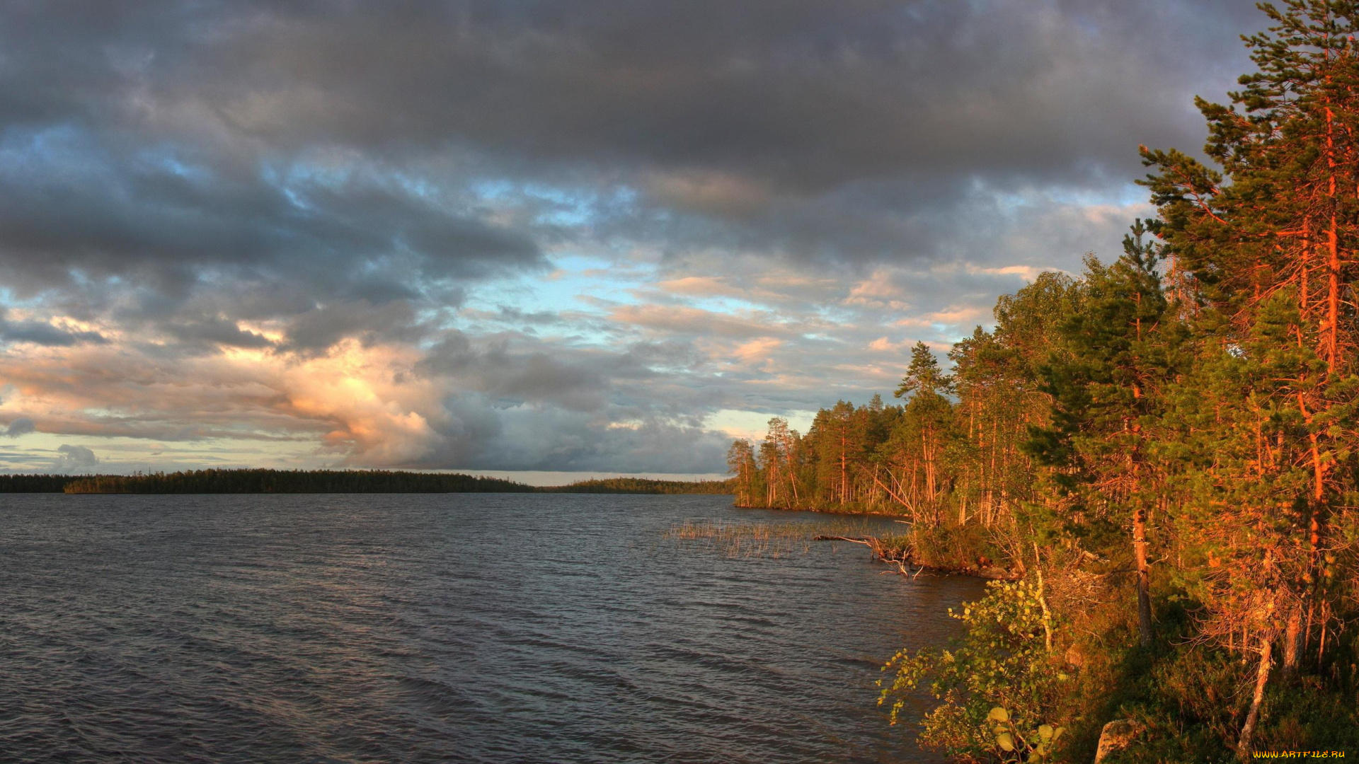 природа, реки, озера, деревья, озеро
