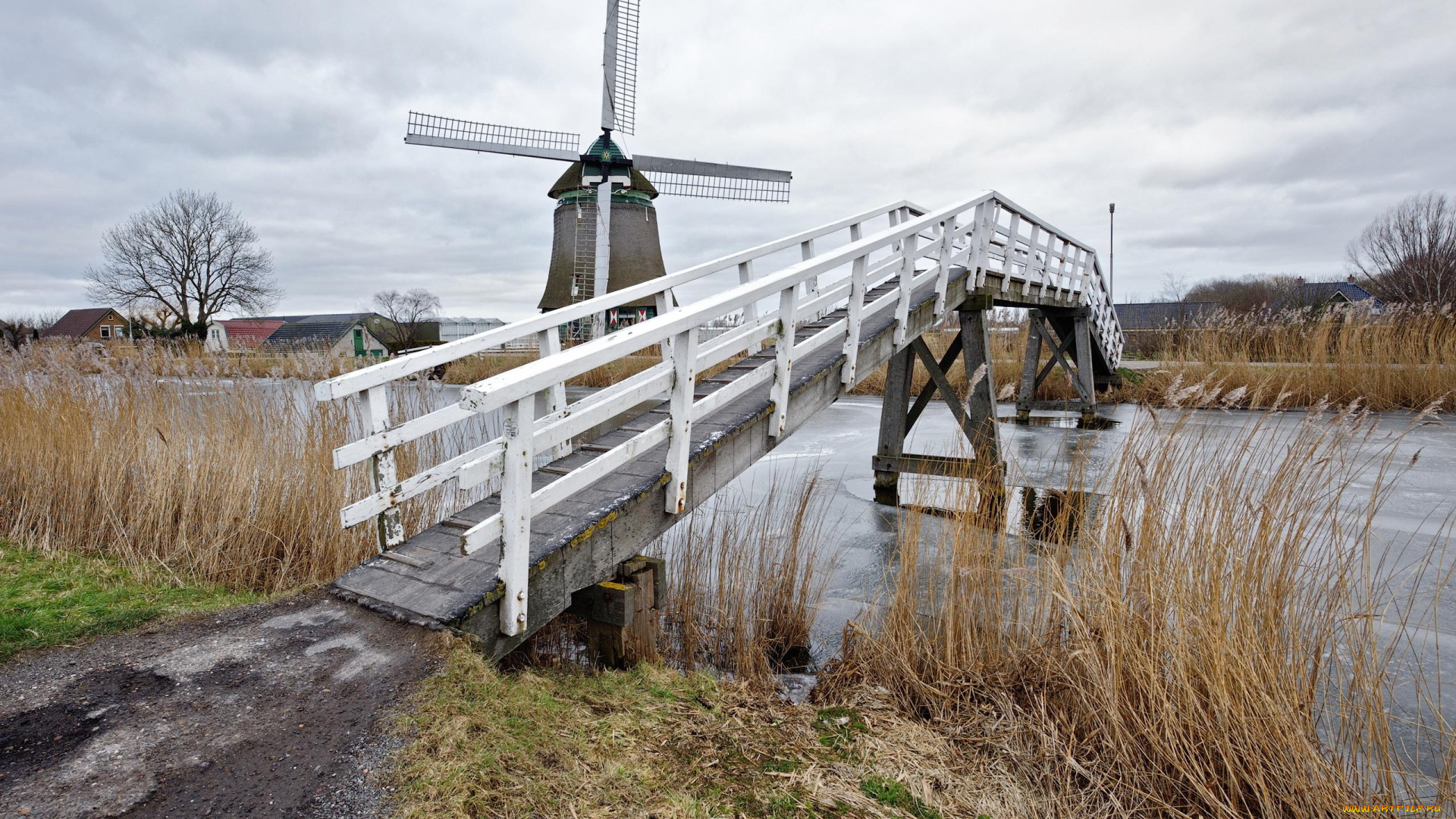 природа, реки, озера, мост, река