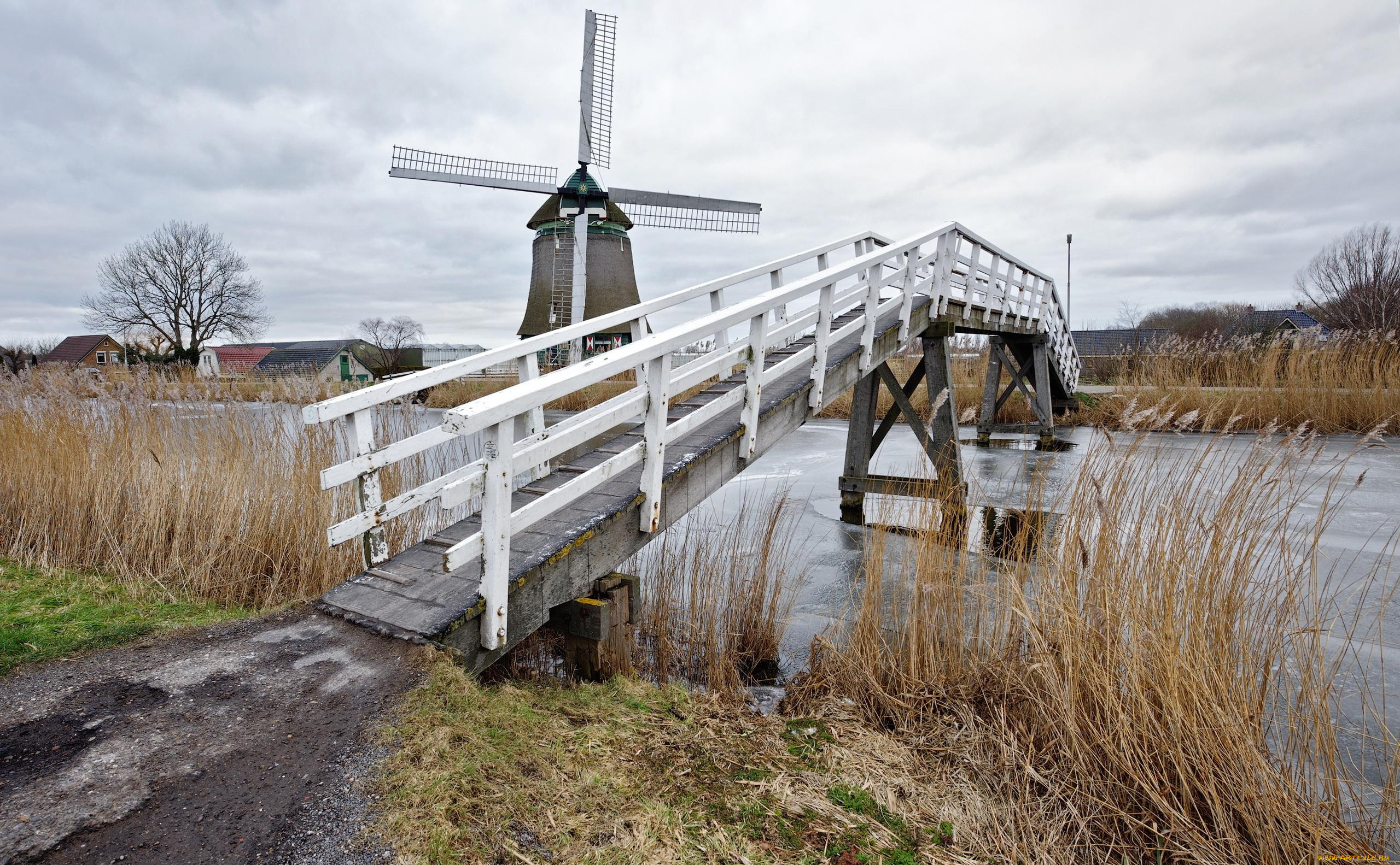 природа, реки, озера, мост, река