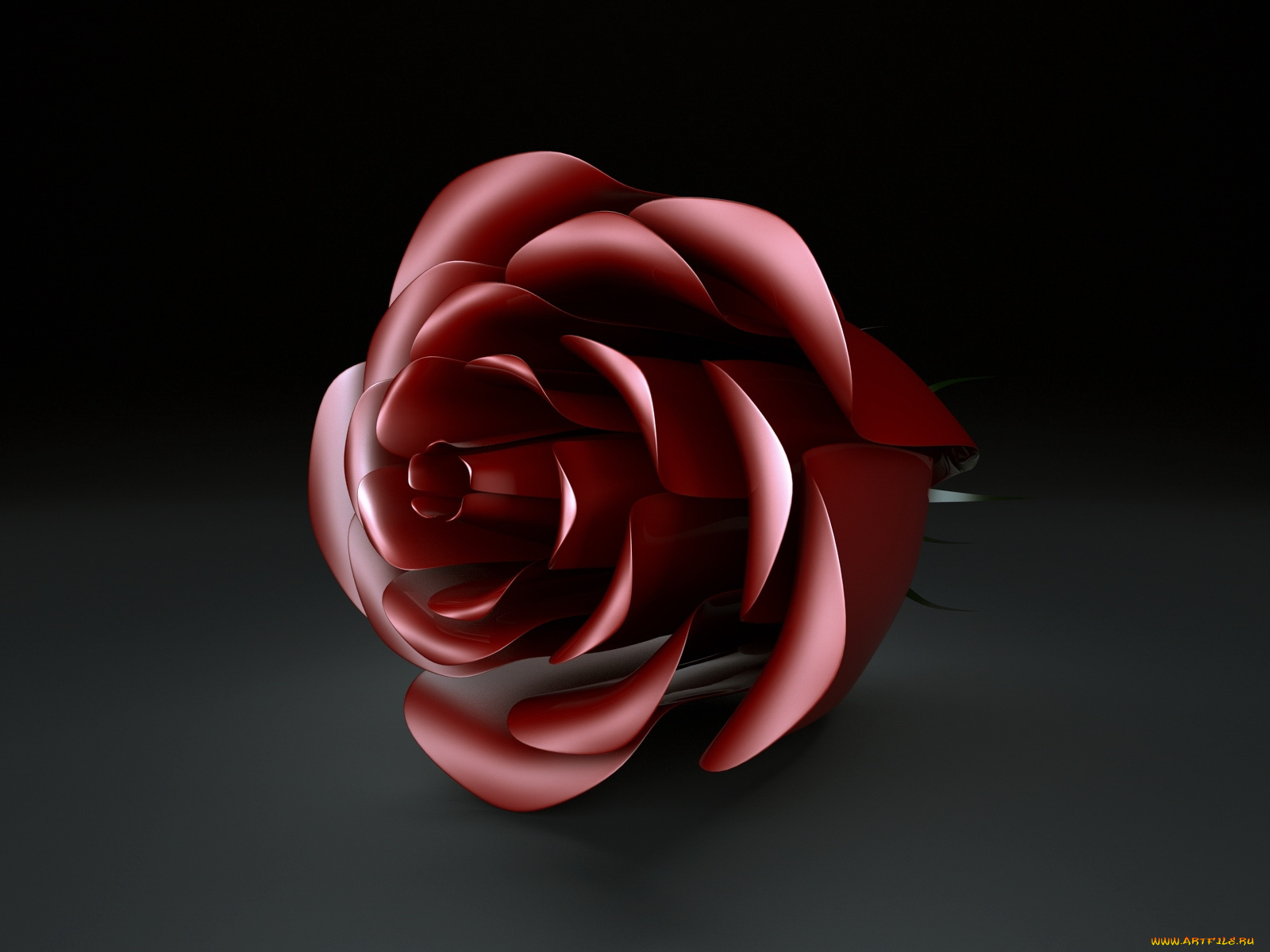 3д, графика, flowers, цветы, роза