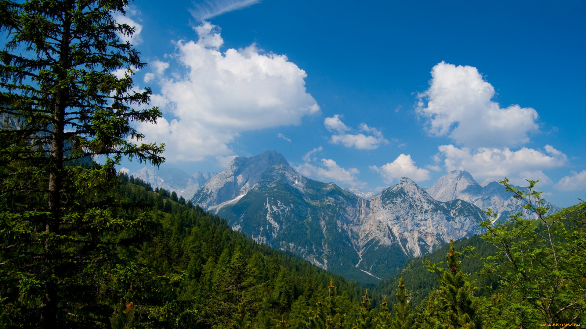 amazing, landscape, природа, горы, синева, облака, леса, небо