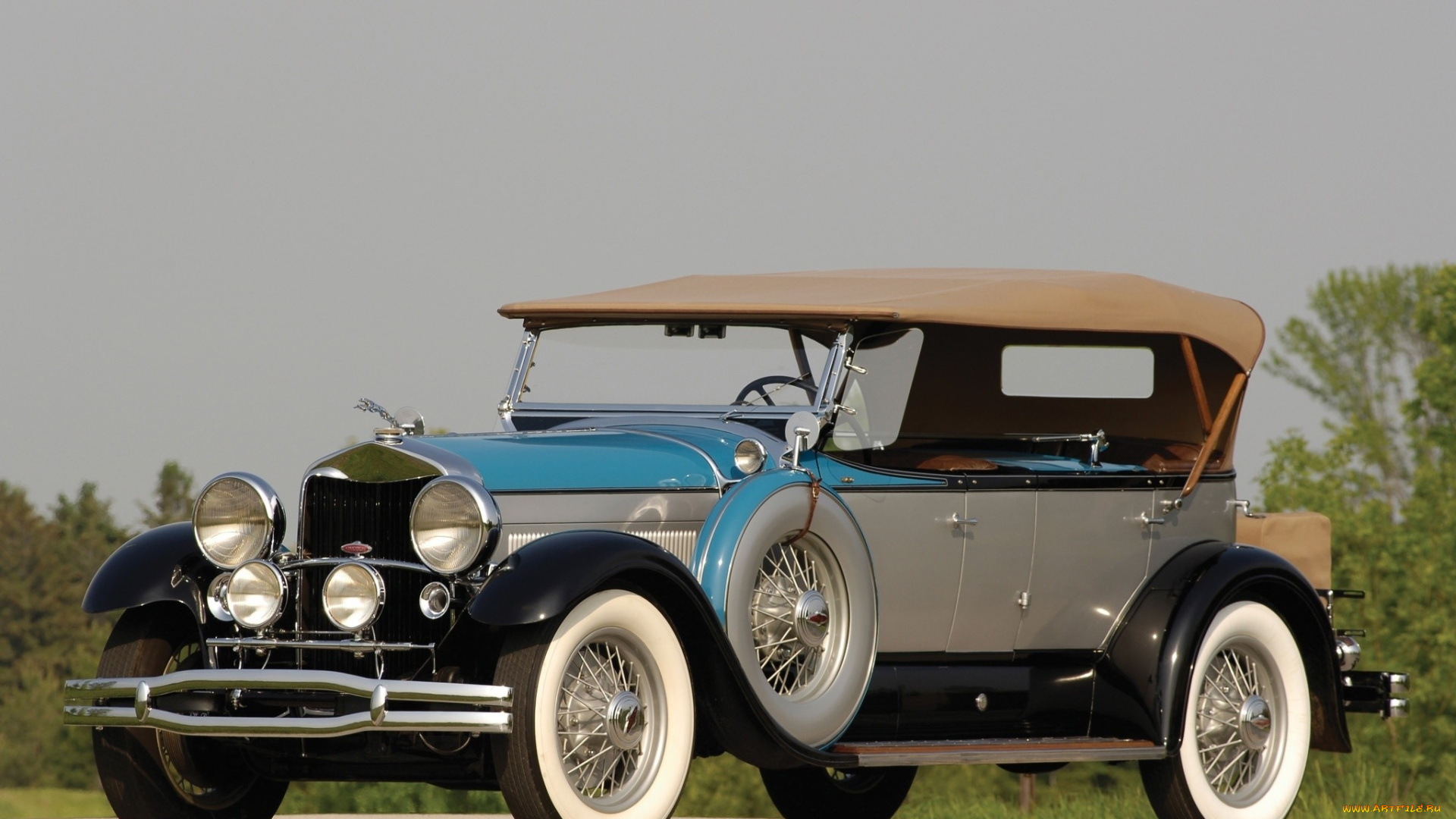 автомобили, классика, кусты, небо, деревья, дорога, автомобиль