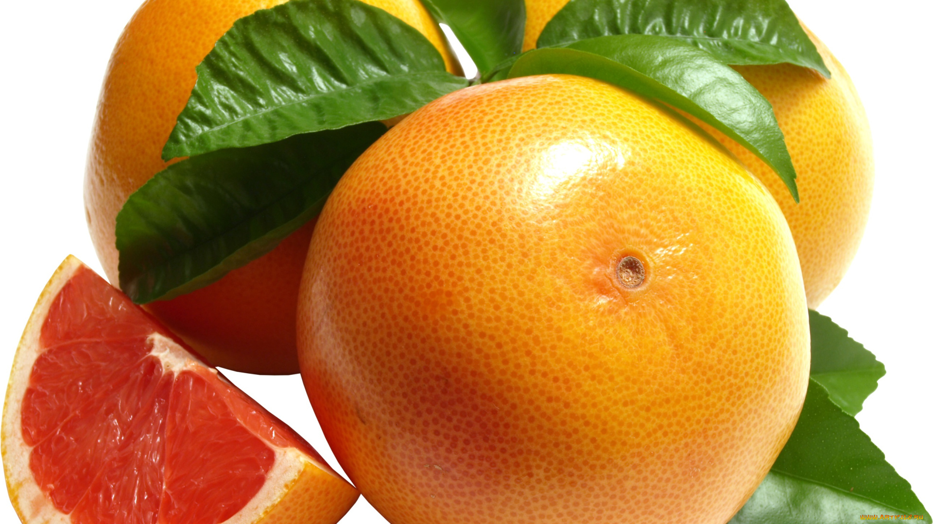 еда, цитрусы, апельсины