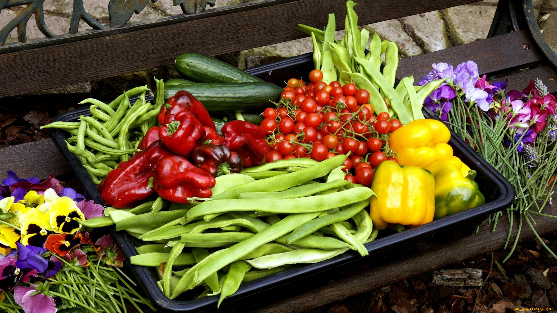 еда, овощи, цукини, помидоры, виола, перец, фасоль