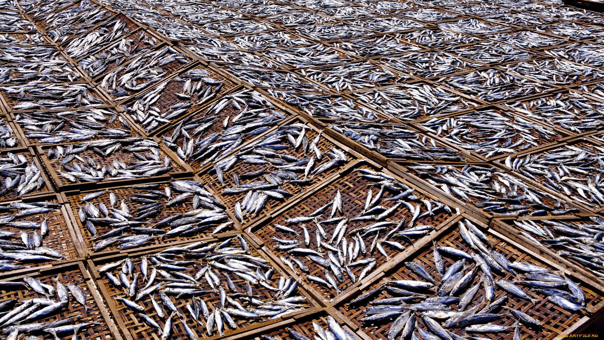 еда, рыба, морепродукты, суши, роллы