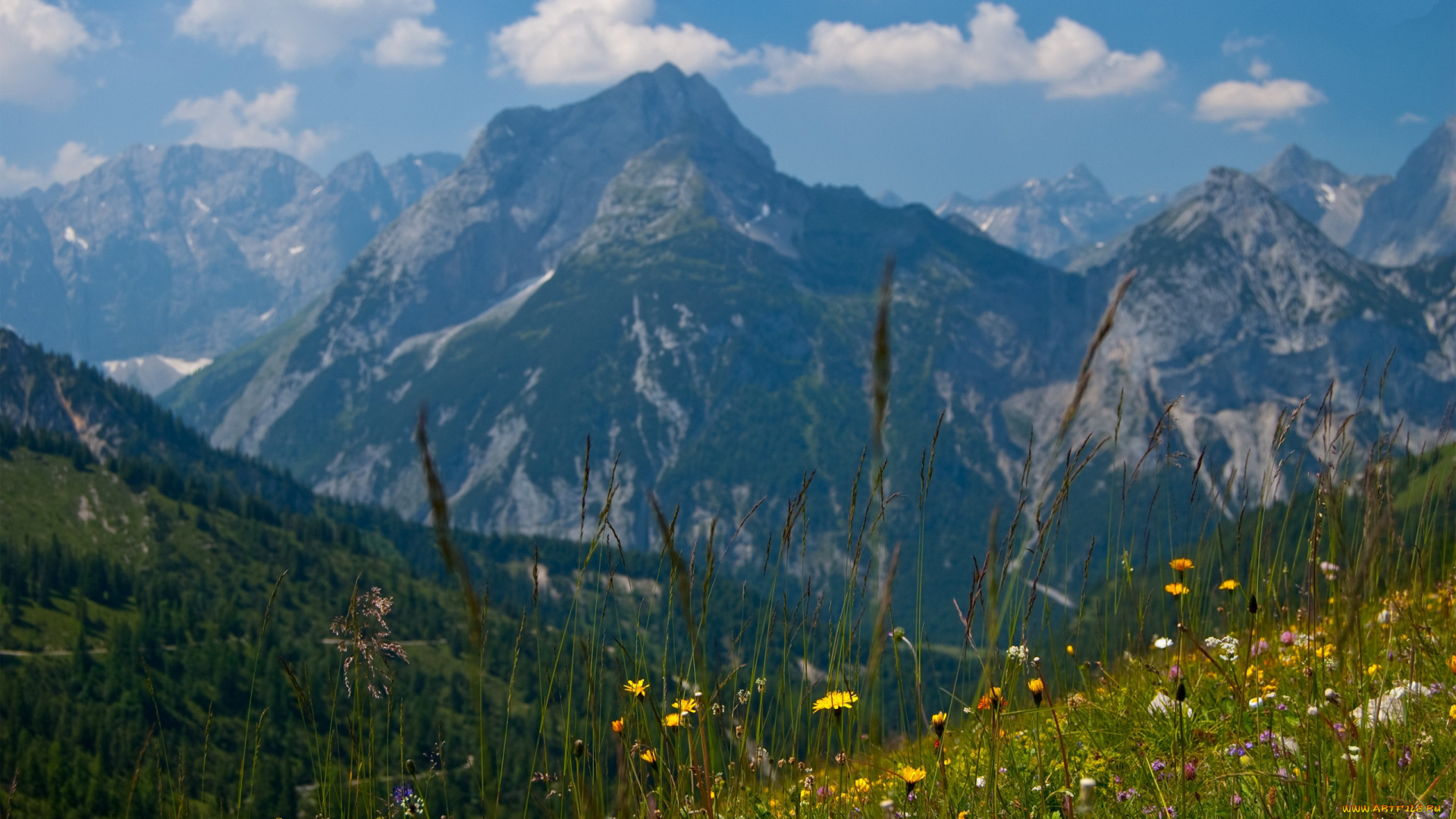 majestic, view, природа, горы, луга