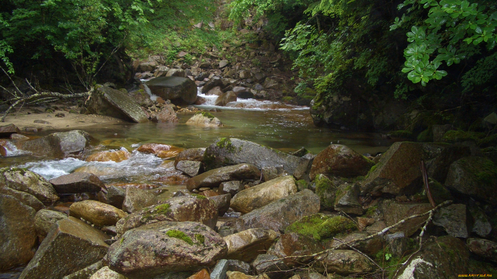 природа, реки, озера, река, камни, лес
