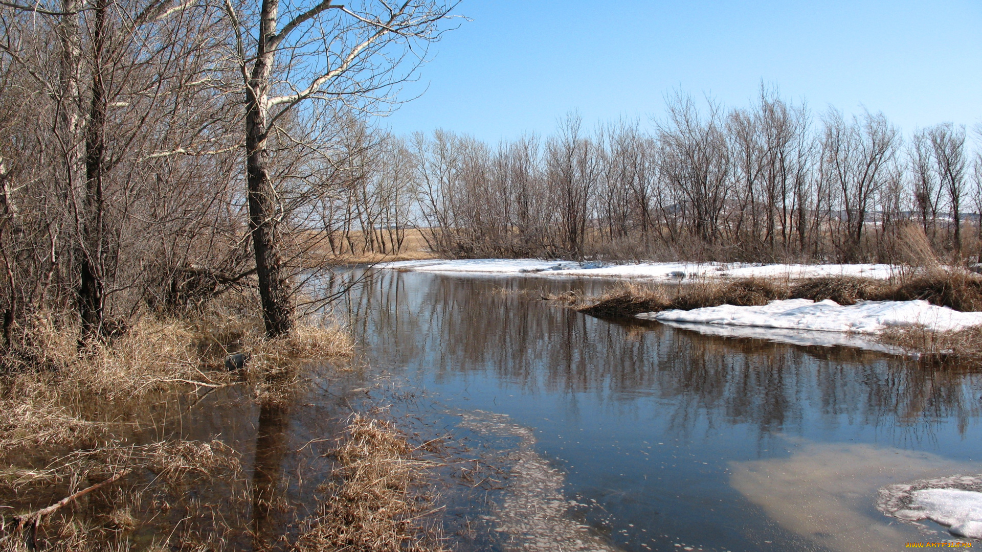 ранняя, весна, апрель, природа, реки, озера, казахстан, брещук, талый