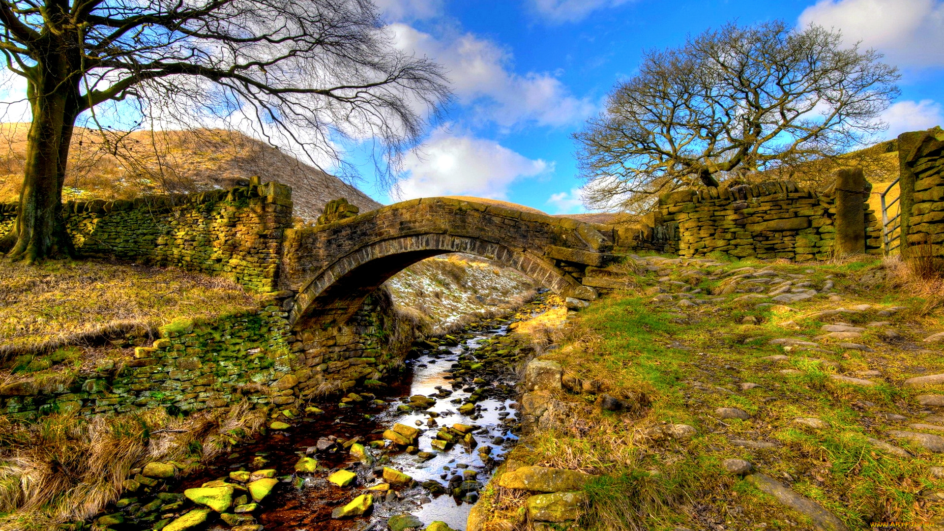 the, stone, bridge, природа, реки, озера, мост, ручей, овраг, трава