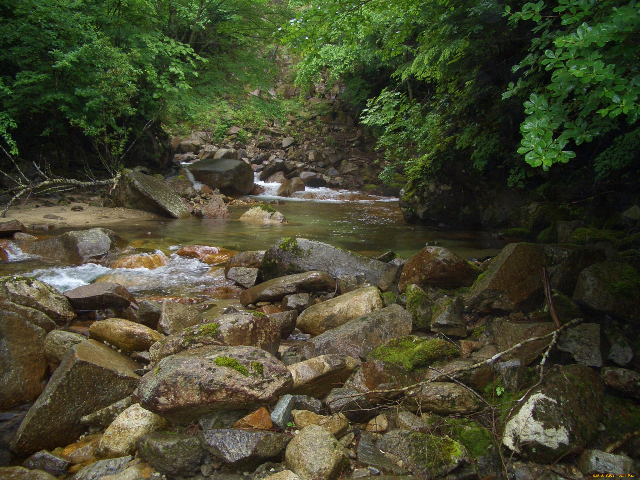 природа, реки, озера, река, камни, лес