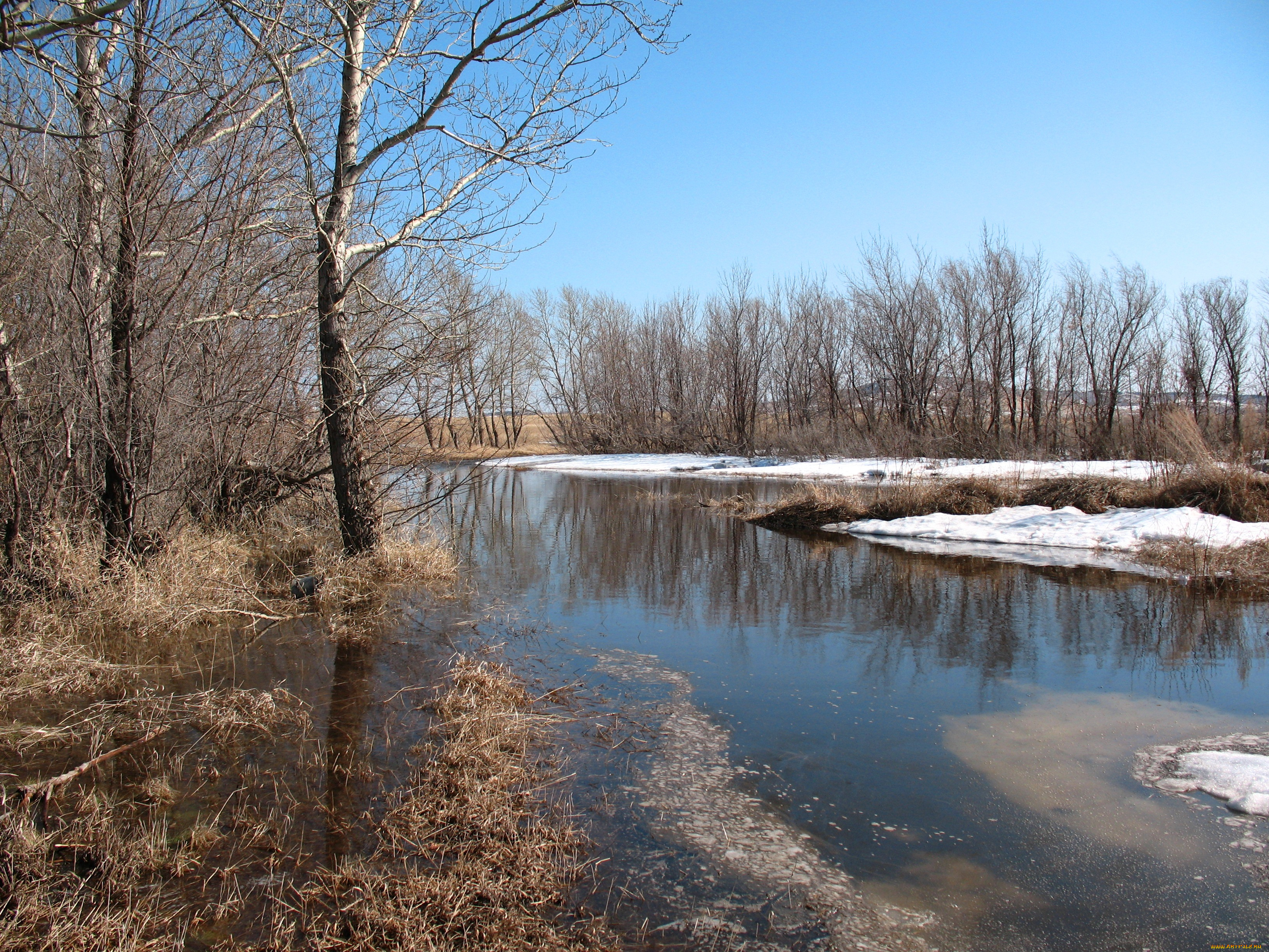 ранняя, весна, апрель, природа, реки, озера, казахстан, брещук, талый