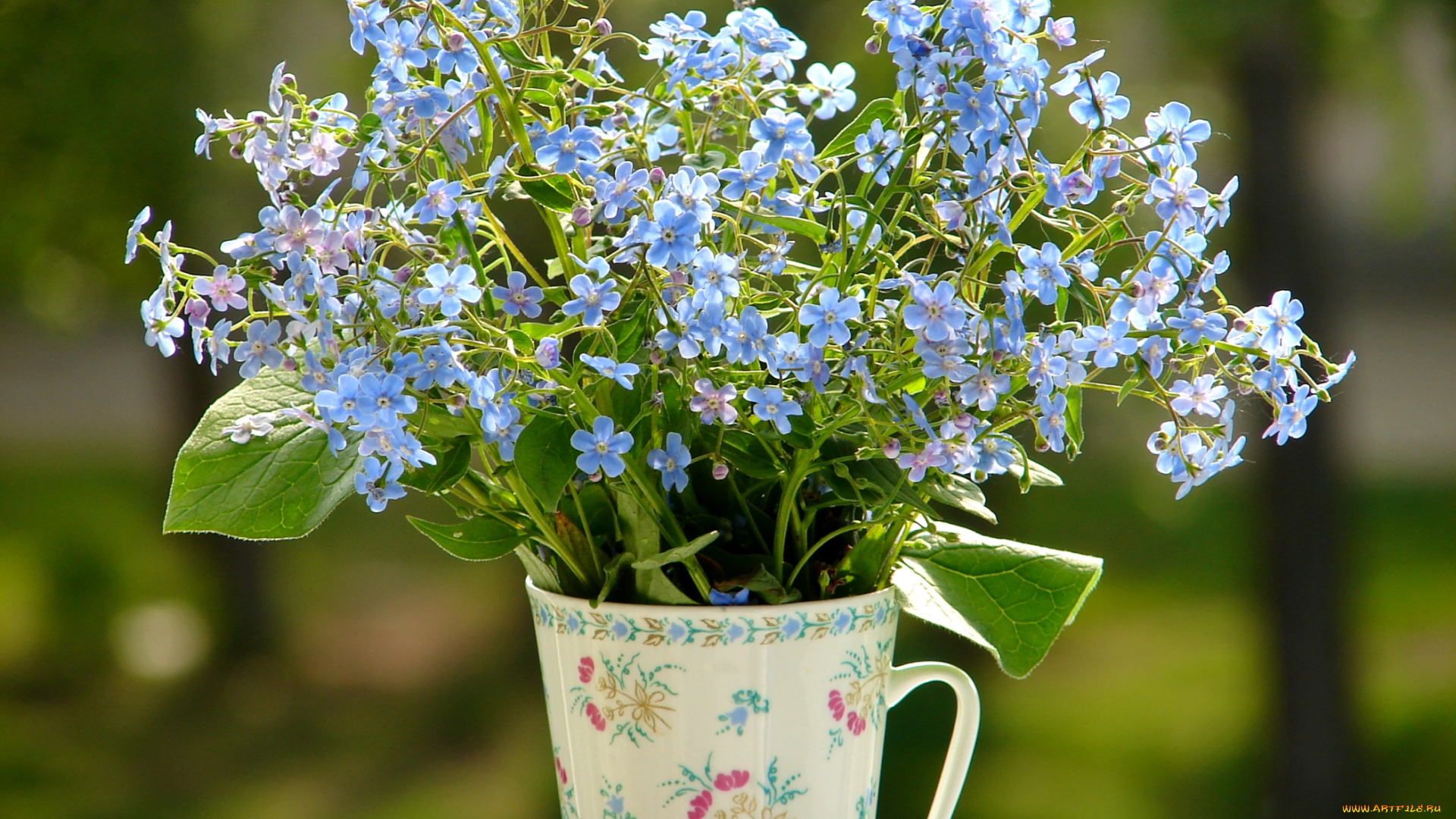 цветы, незабудки, букетик