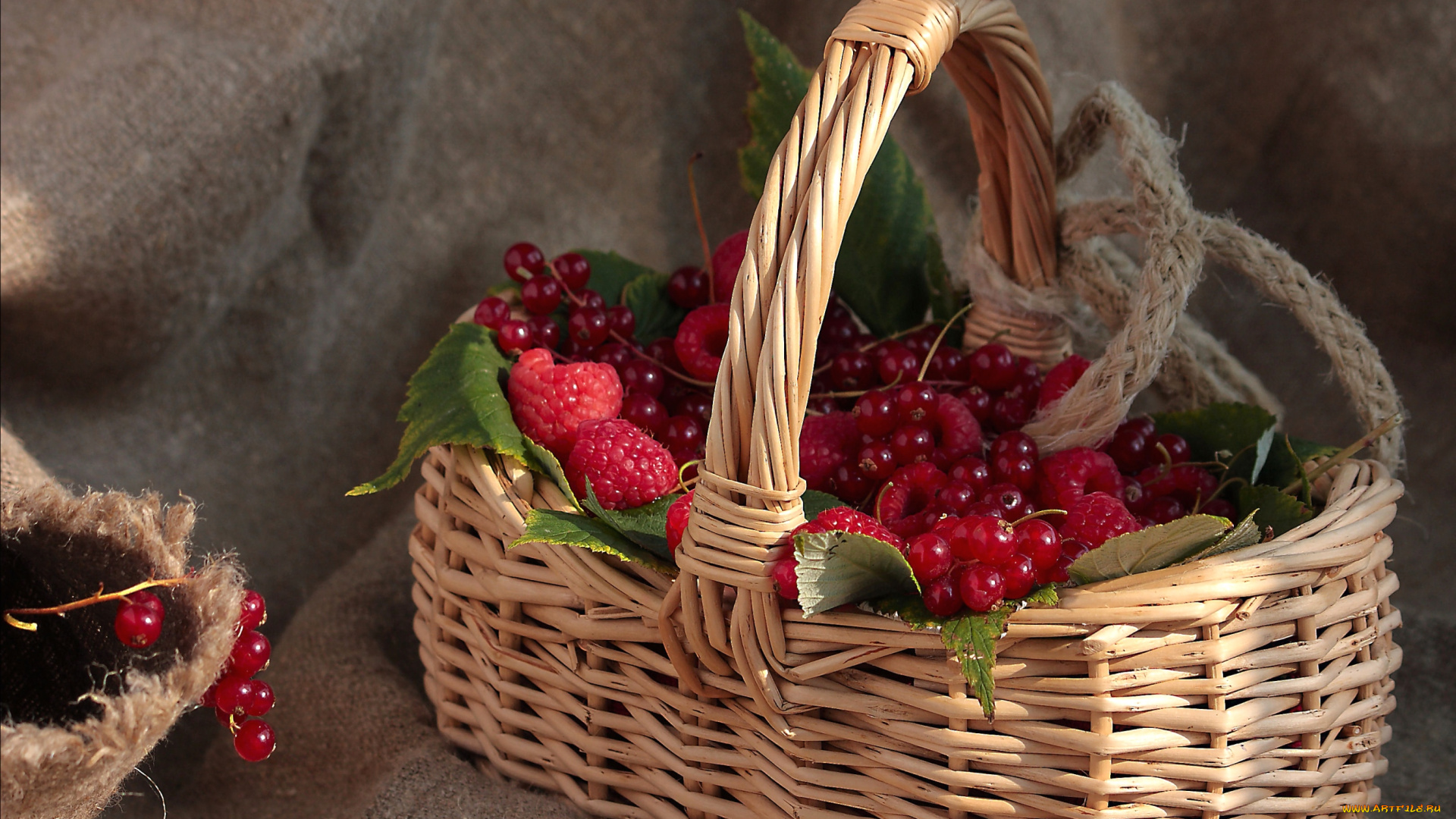 еда, фрукты, ягоды, малина, смородина, корзинка