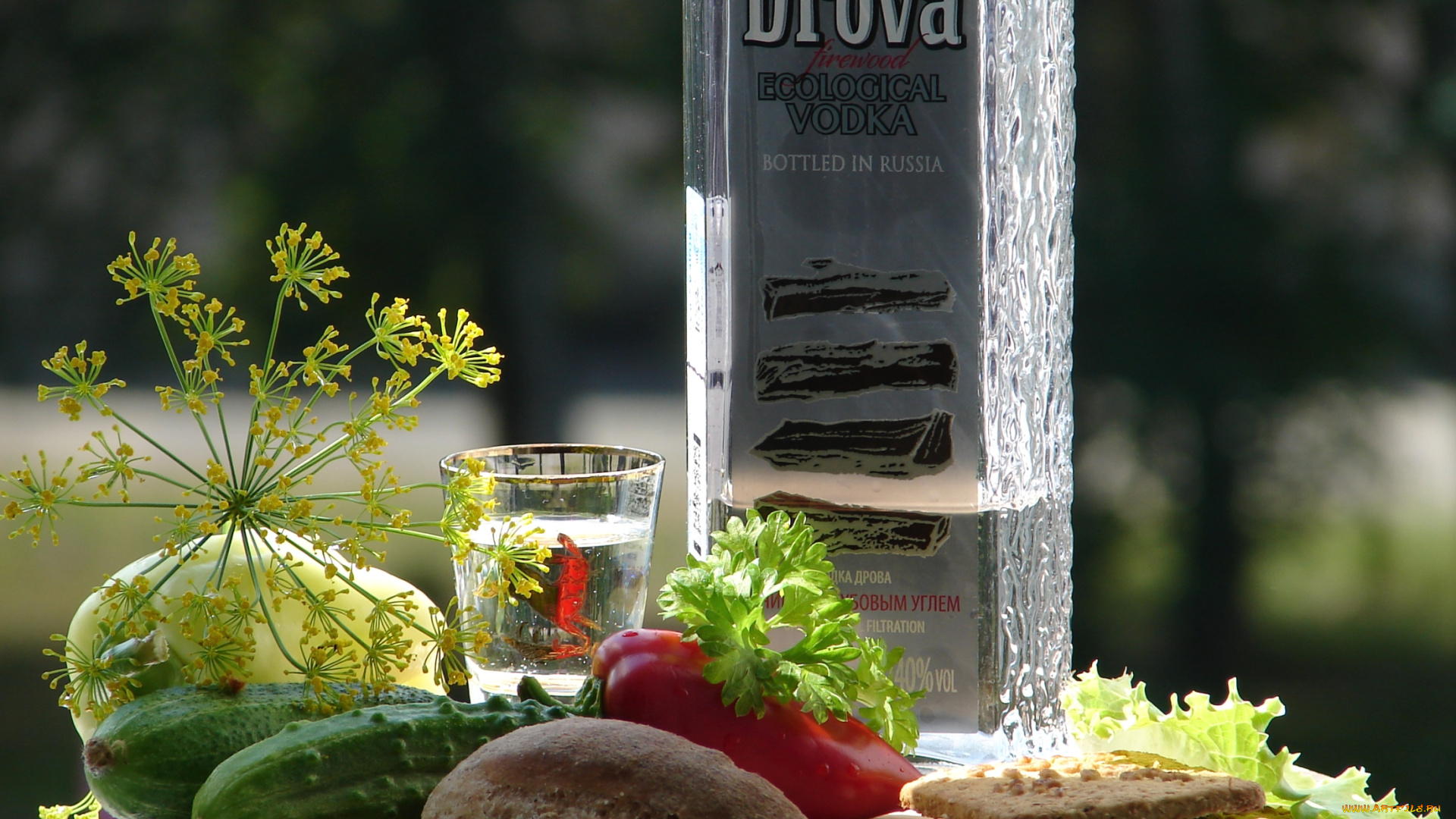 еда, натюрморт, овощи, водка